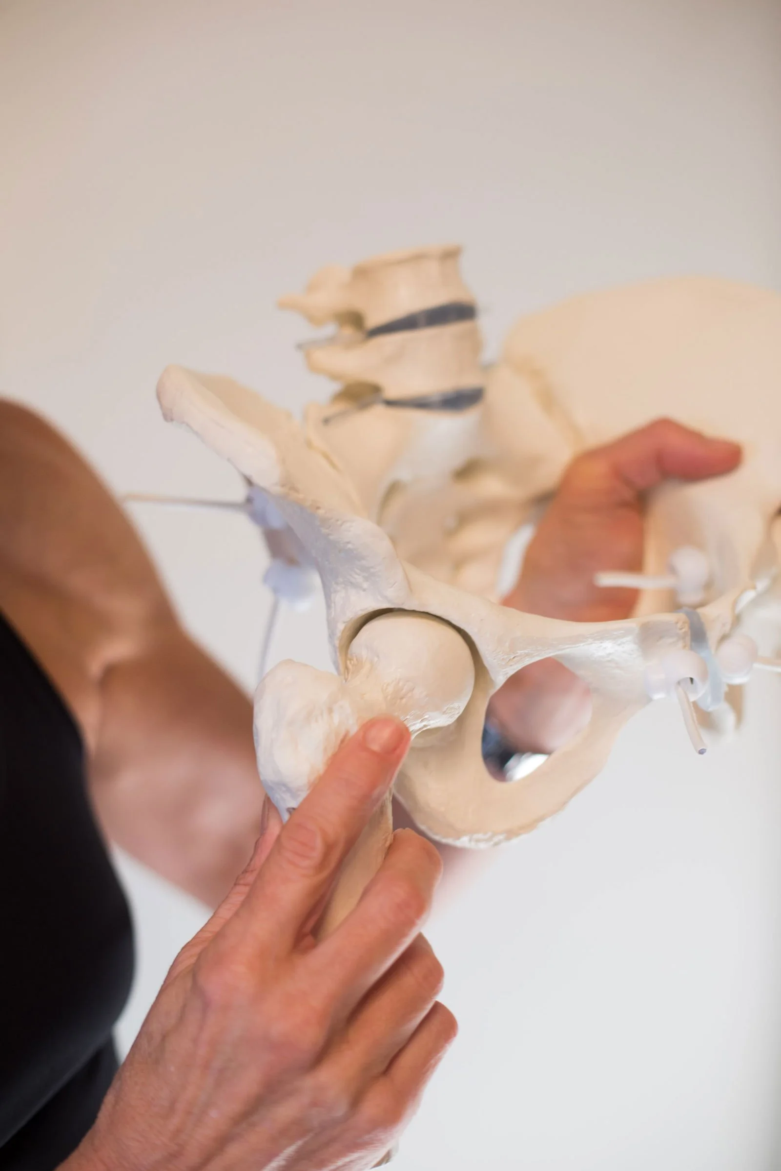 Healthcare professional pointing to a plastic model of the human shoulder and upper spine anatomy
