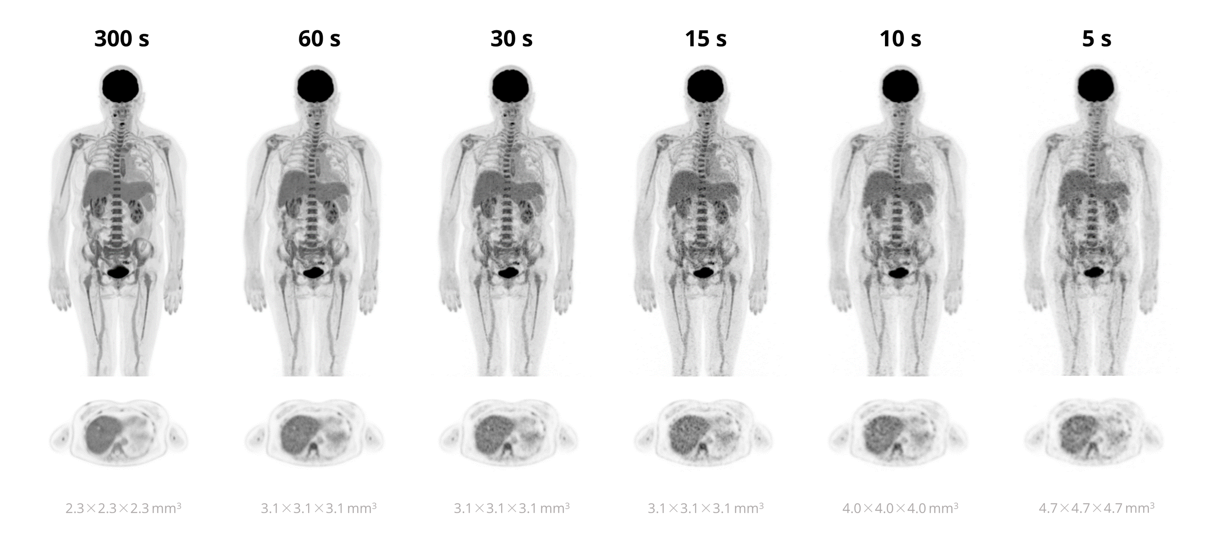 3-whole-body.png
