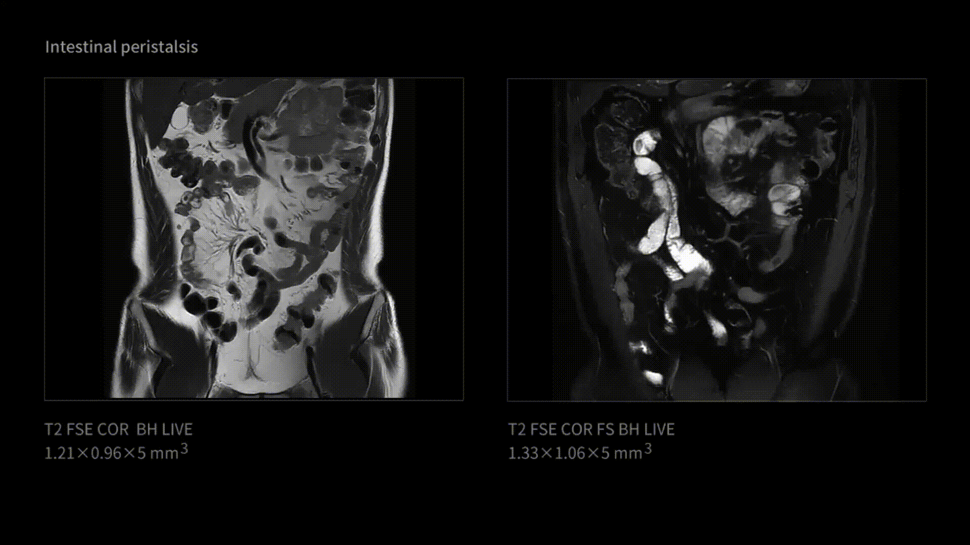 p6.gif