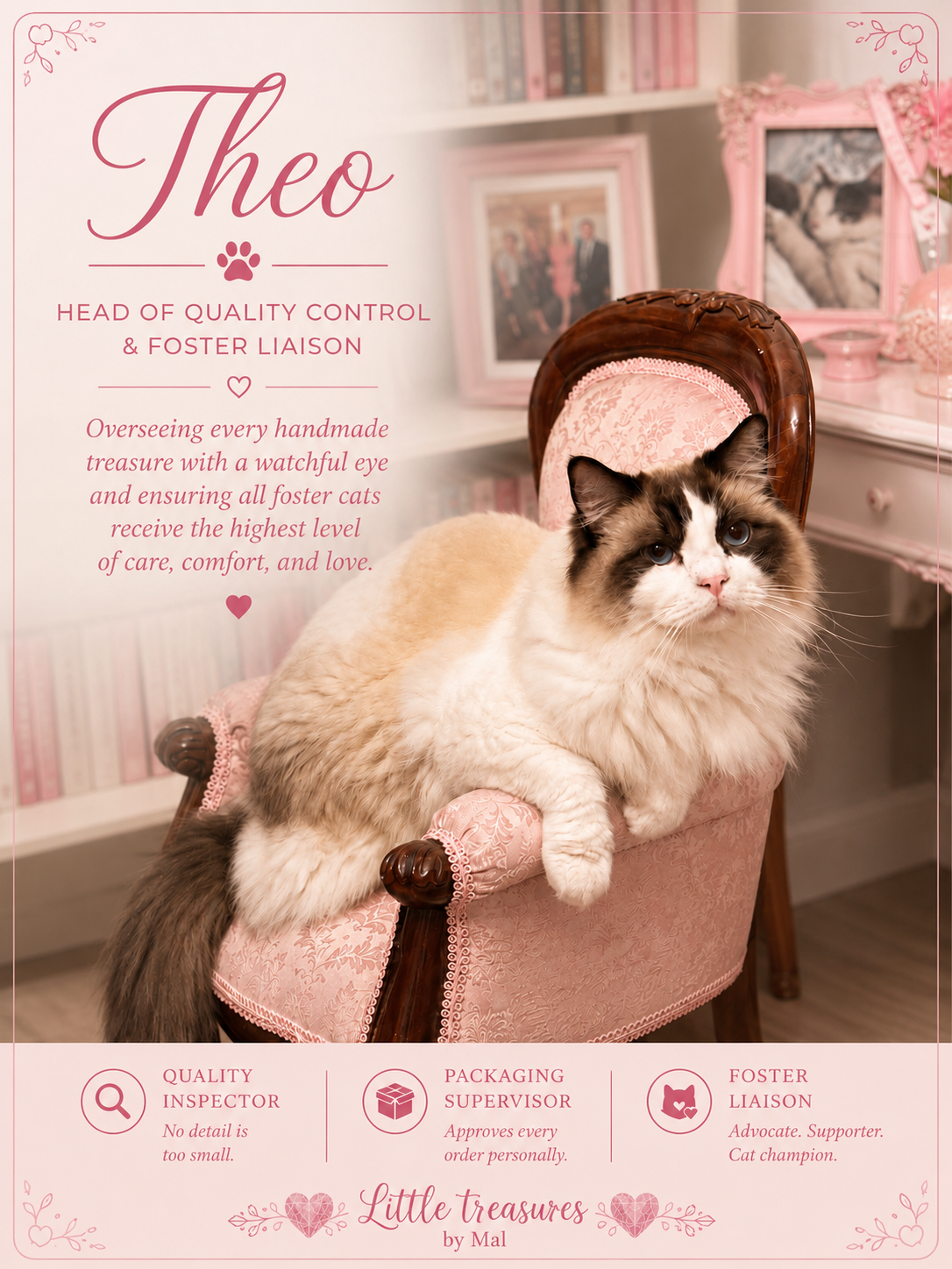 A promotional poster for Theo, a foster cat, featuring a fluffy, brown and white cat sitting on a pink upholstered chair with a vintage style. The background includes pink framed photographs and a bookshelf. The poster highlights Theo's roles including head of quality control and foster liaison, with text emphasizing care, love, and attention to detail for foster cats.