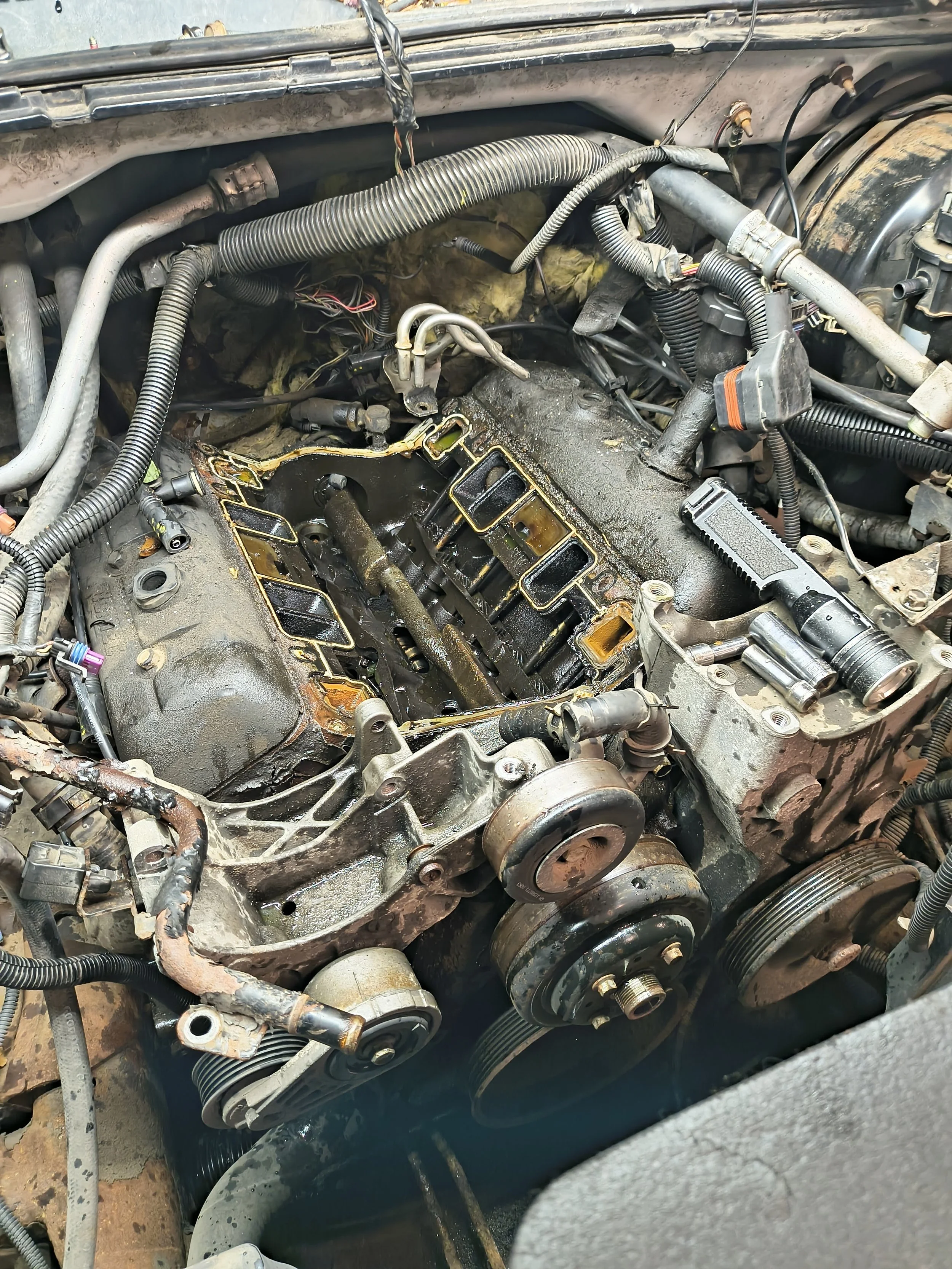 IMG_20250505_104345765_HDR.jpg