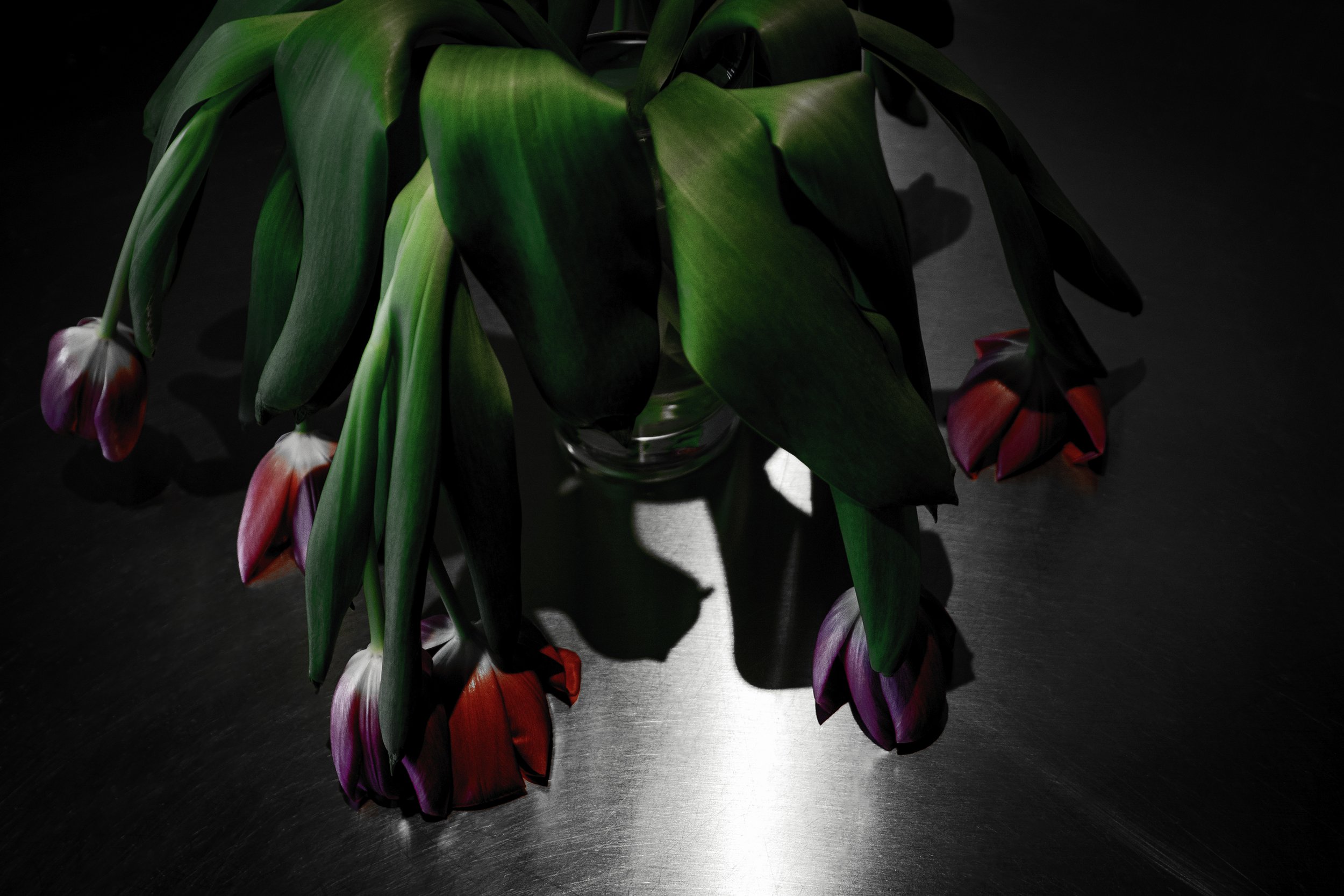 L1000756-Edit copy.jpg