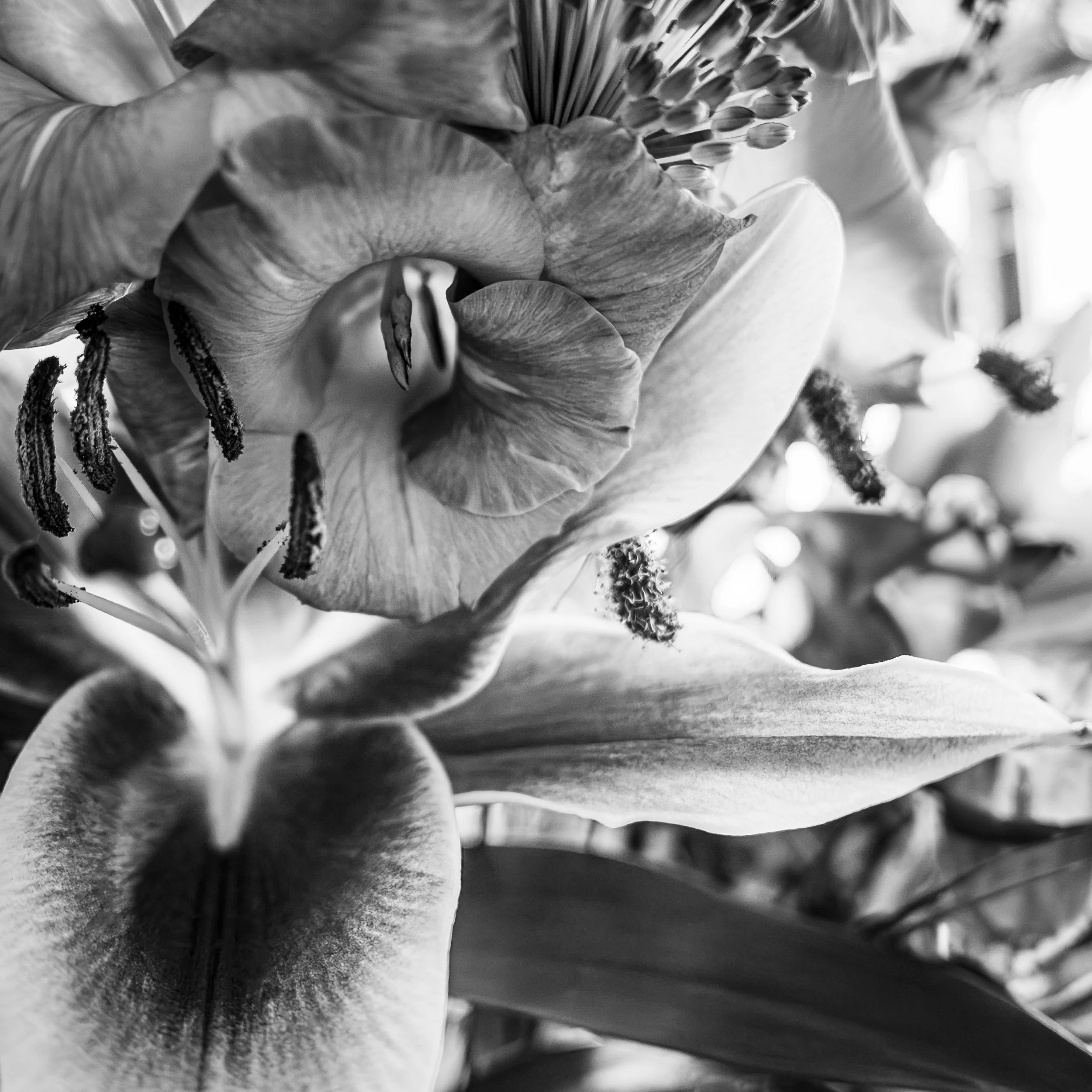 L1001546-Edit-Edit.jpg