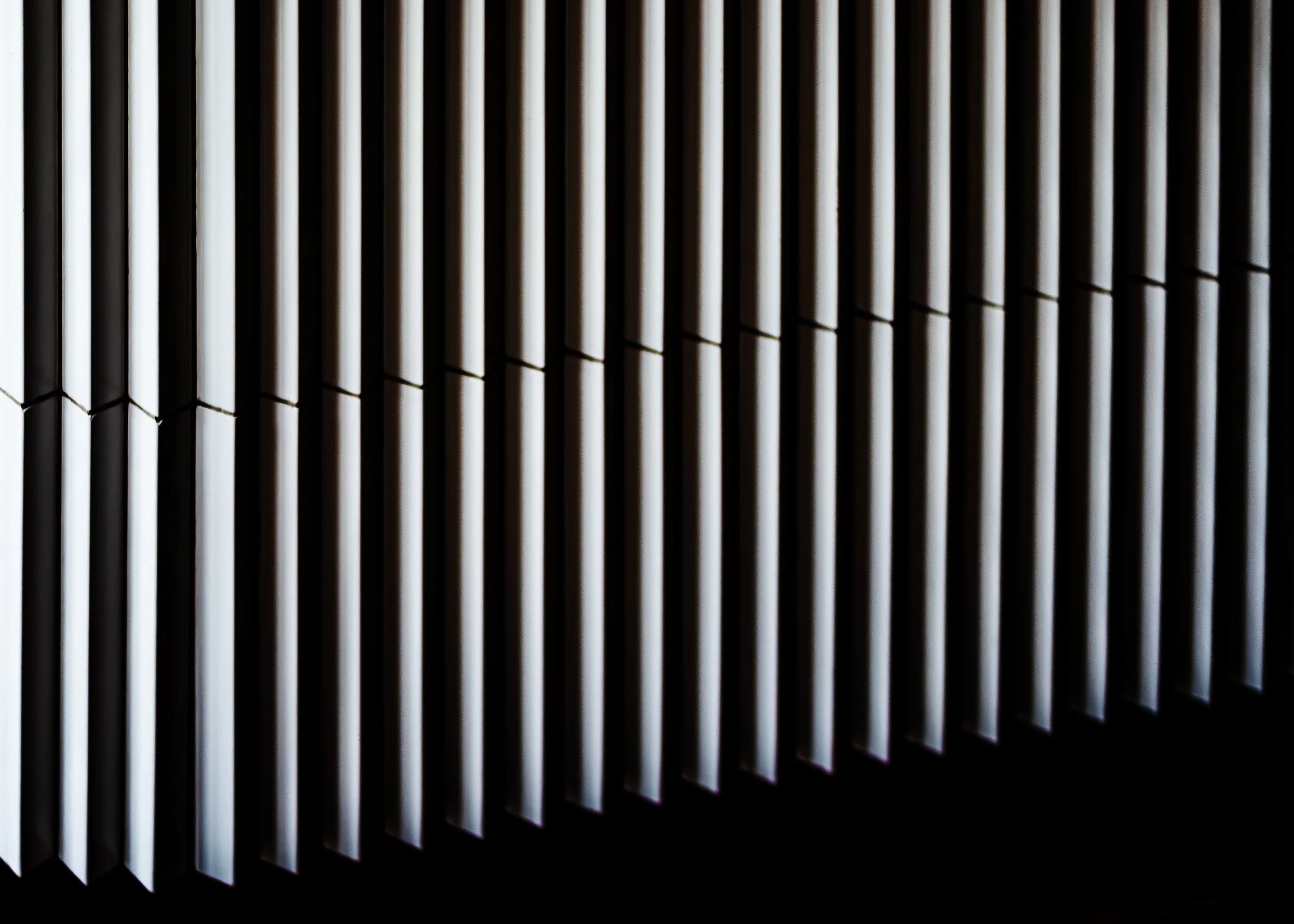 S1001055_2.jpg