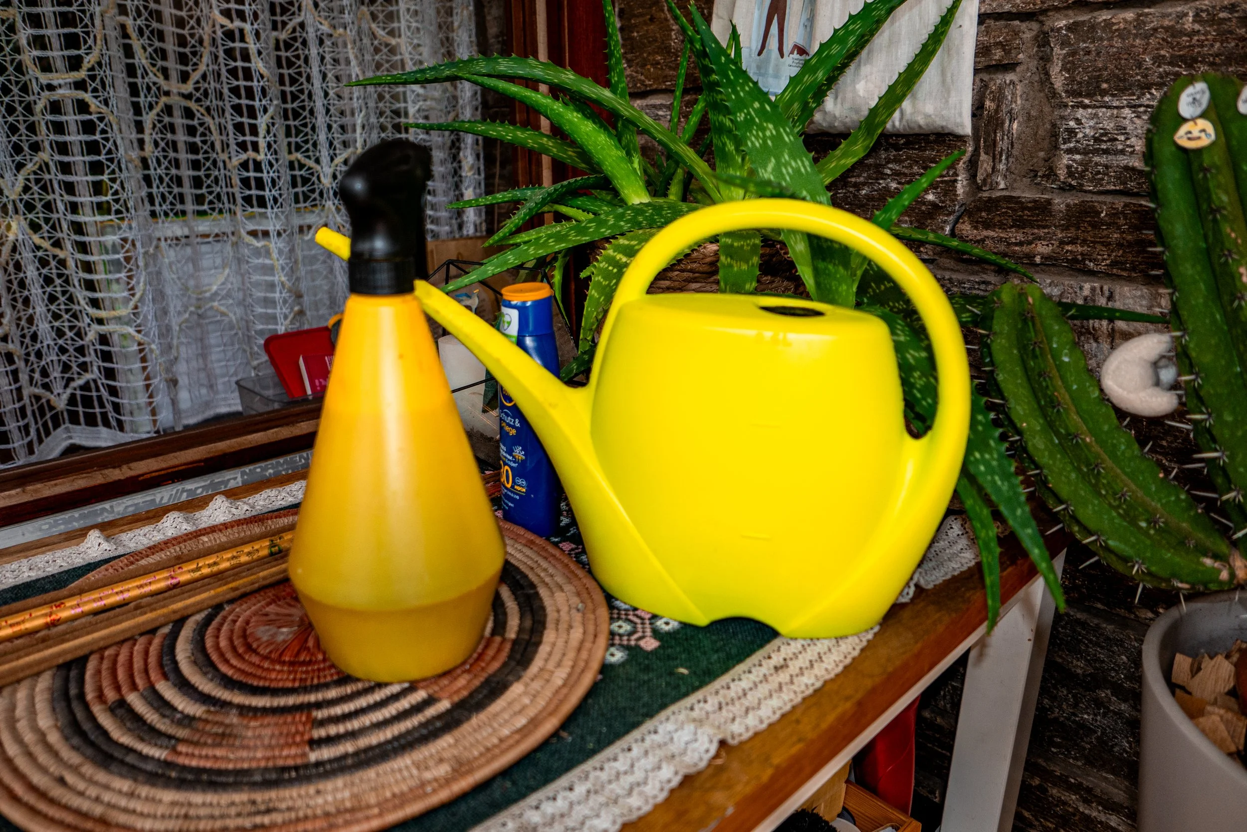 L1001592.jpg