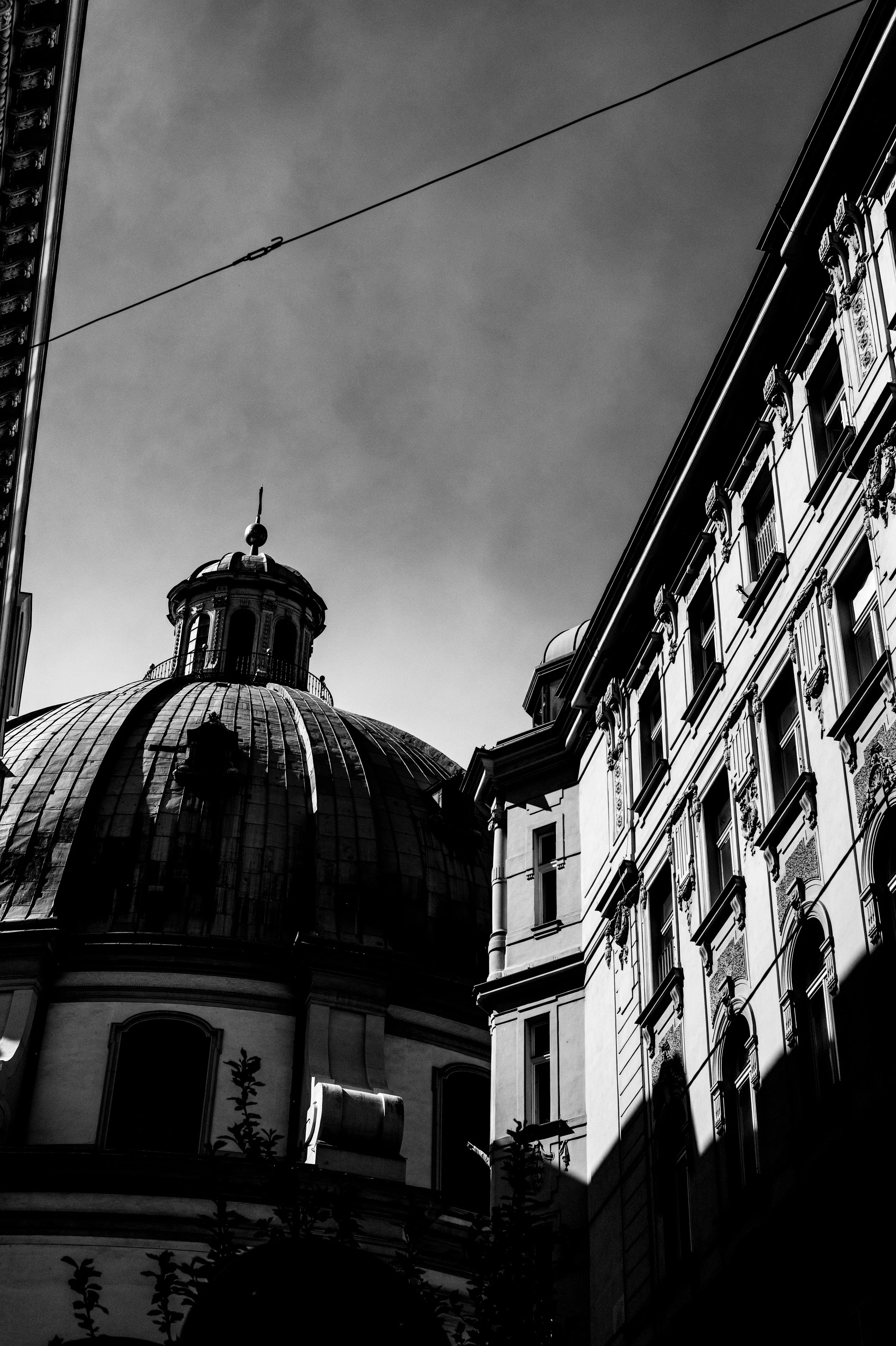 S1000499.jpg