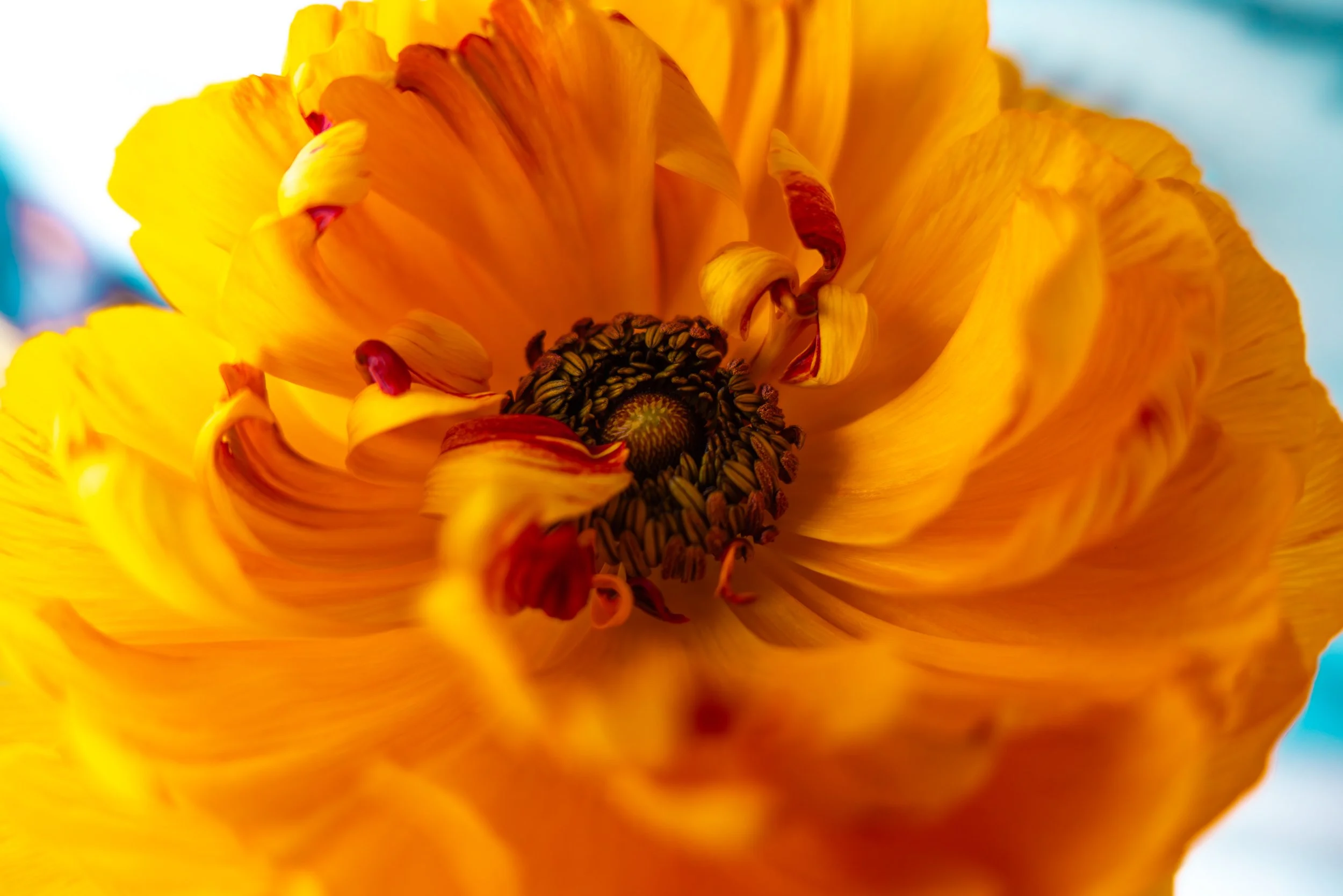 L1001160-Edit.jpg