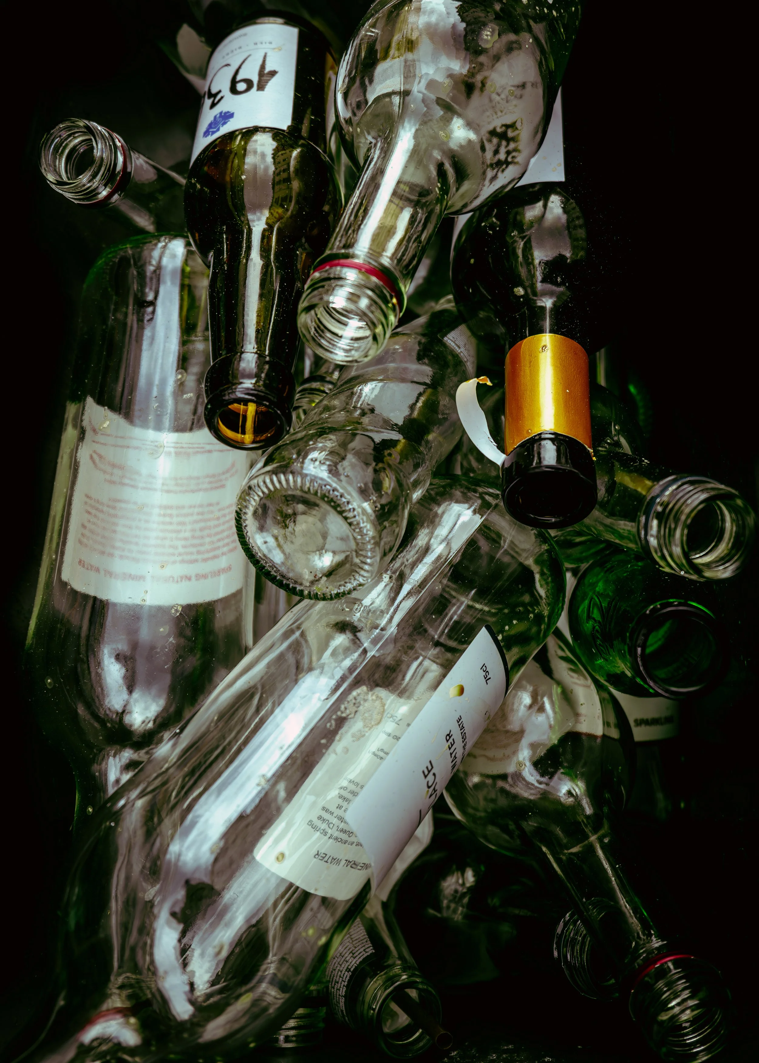 S1010474.jpg