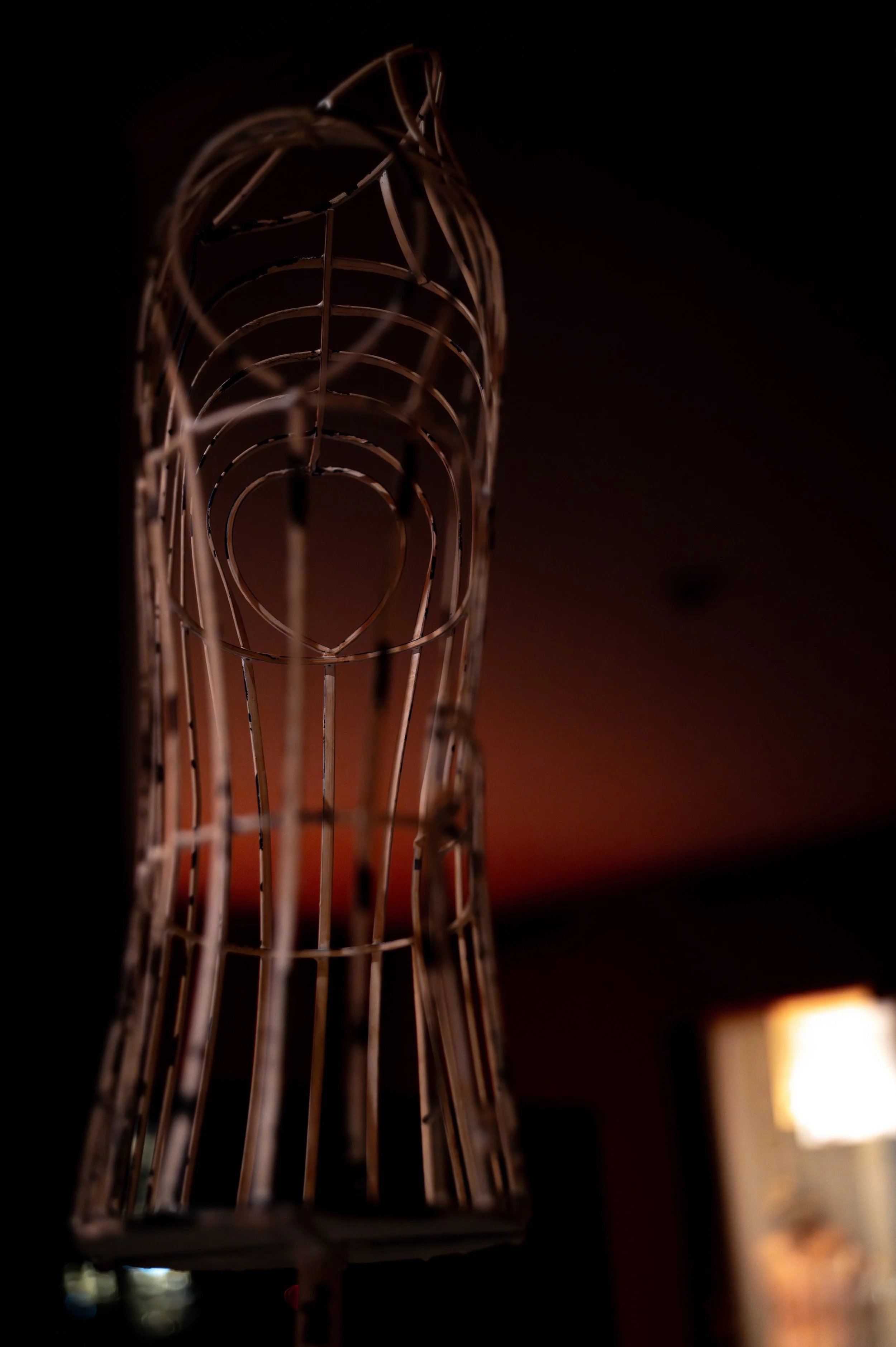 S1000464.jpg