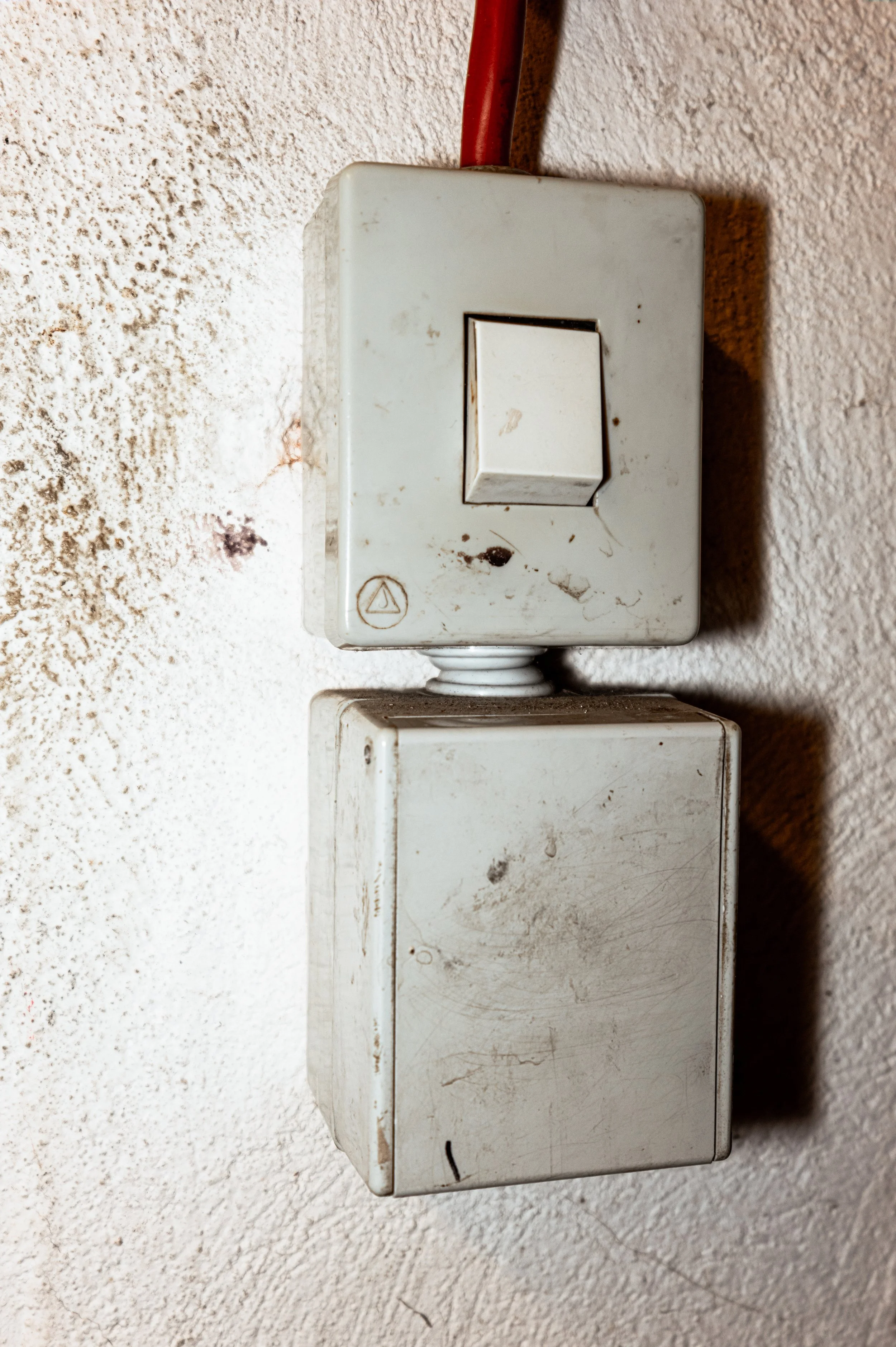 S1011072.jpg