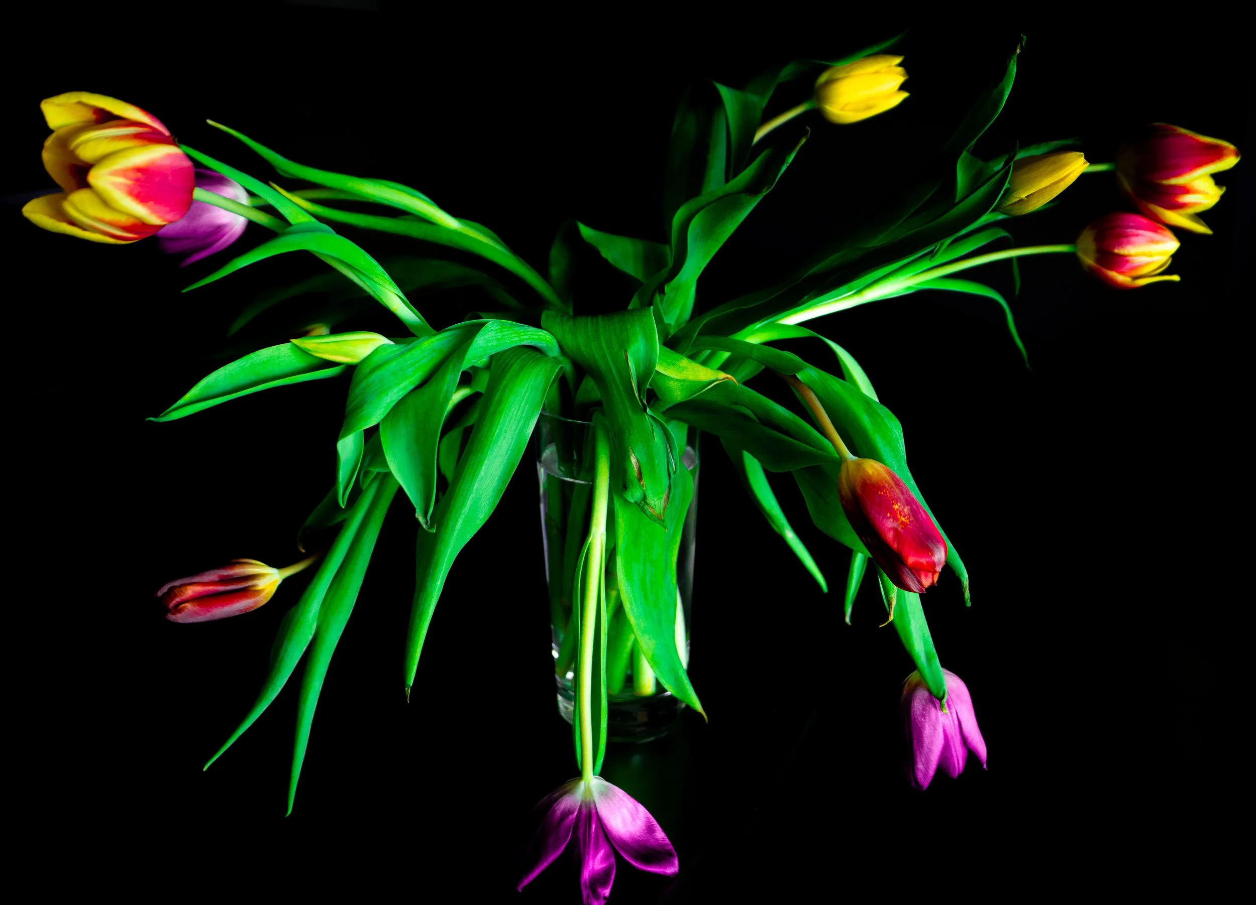 L1000697-Edit.jpg