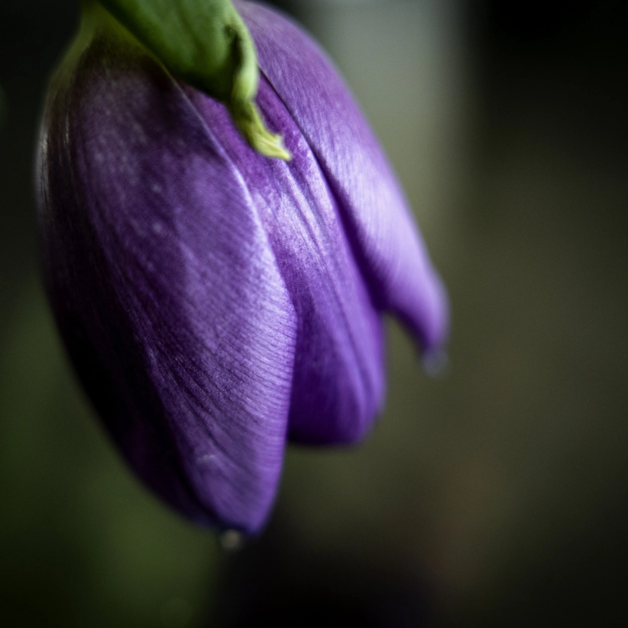 L1000702-Edit copy.jpg
