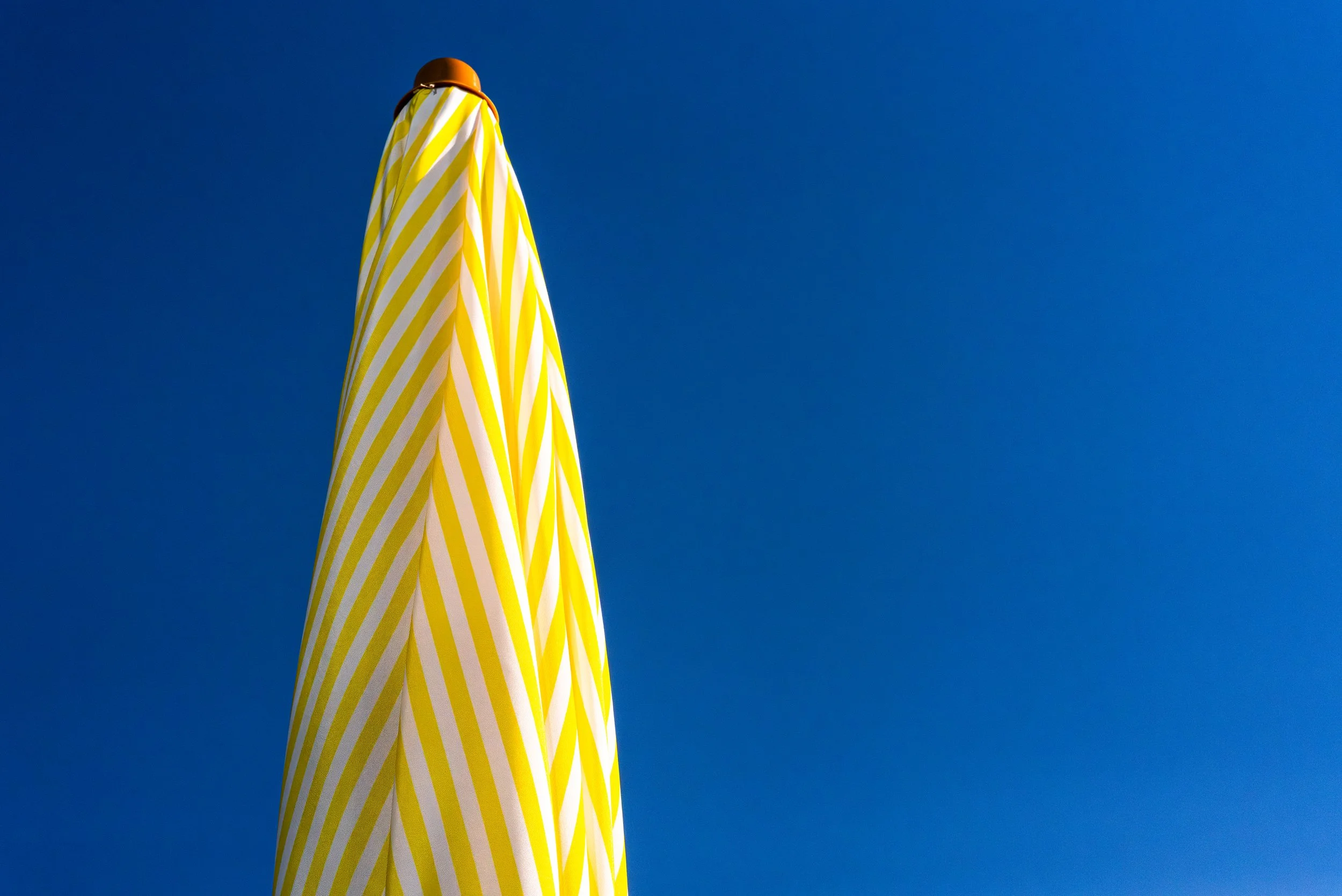 S1010040.jpg