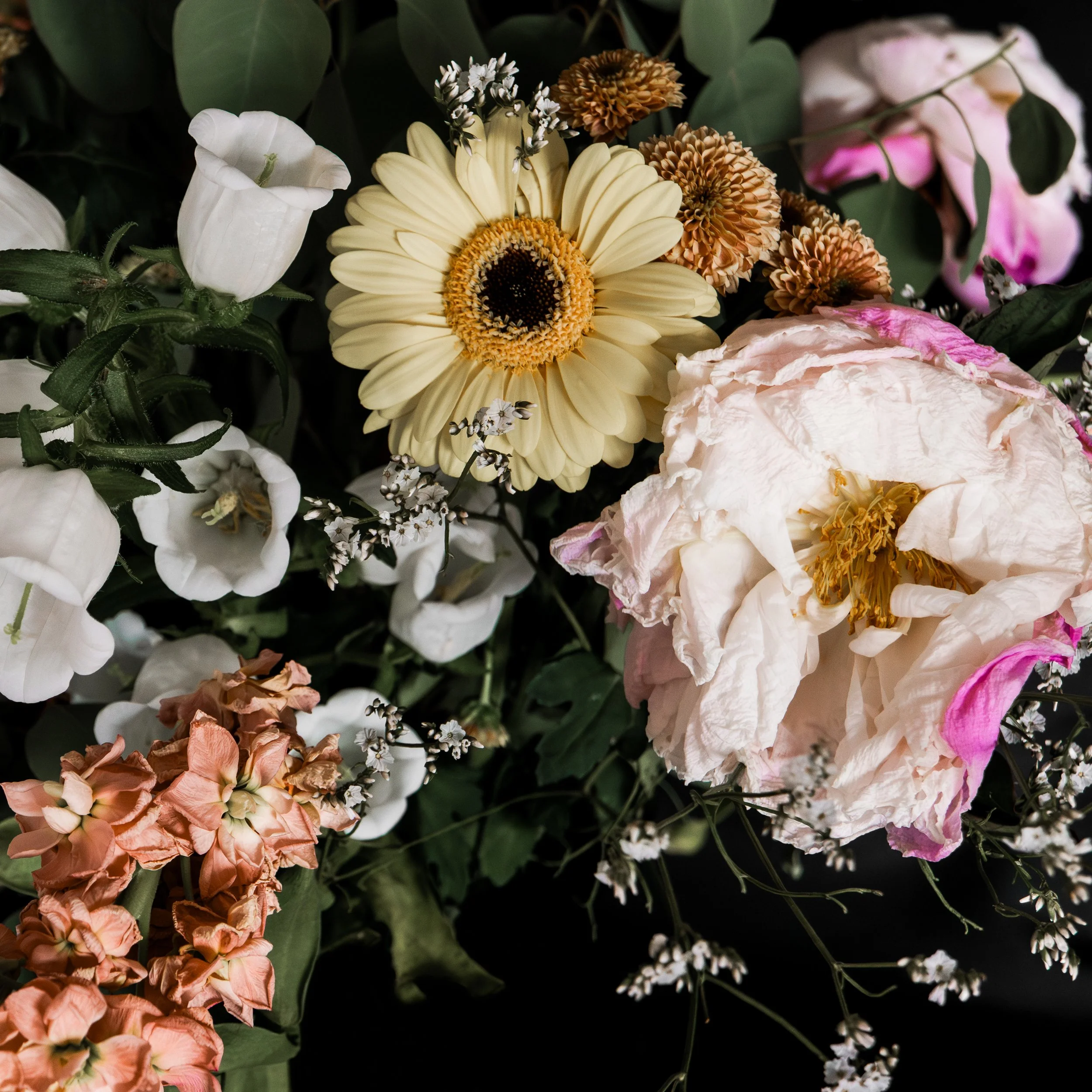 L1001398-Edit.jpg