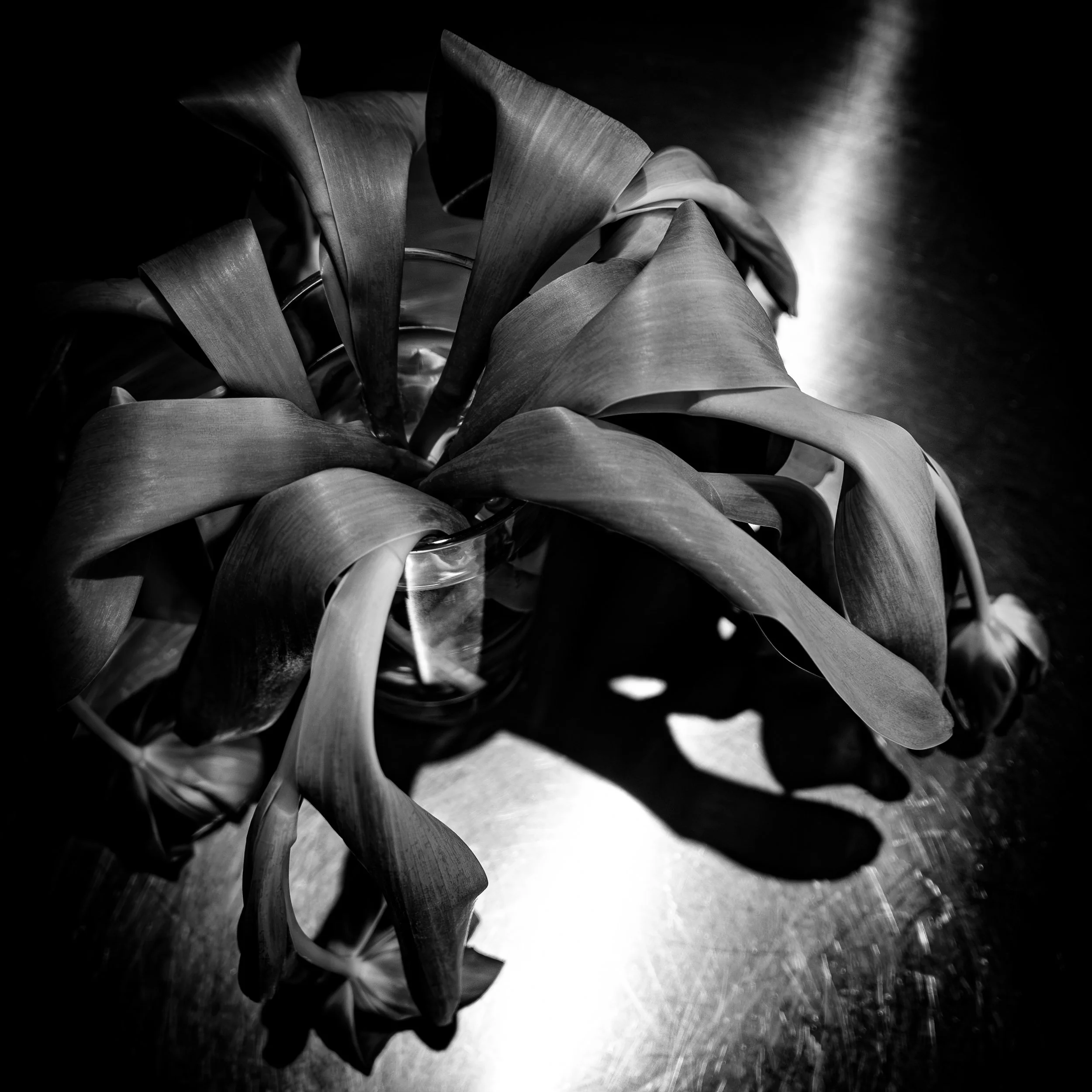 L1000747-Edit.jpg