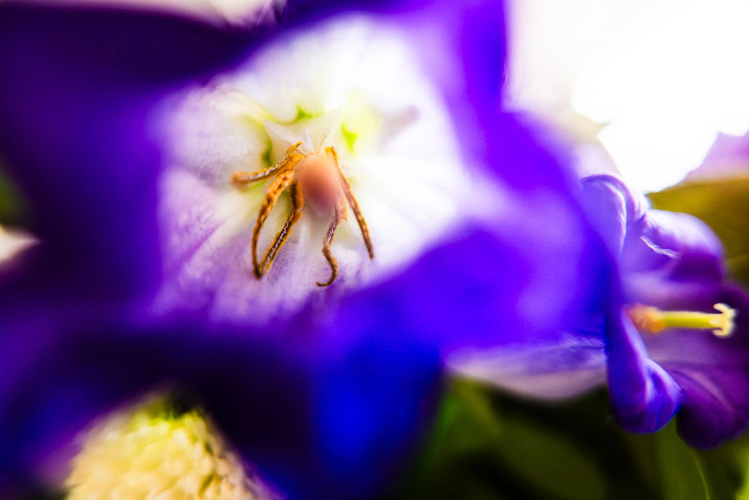 L1001435-Edit.jpg