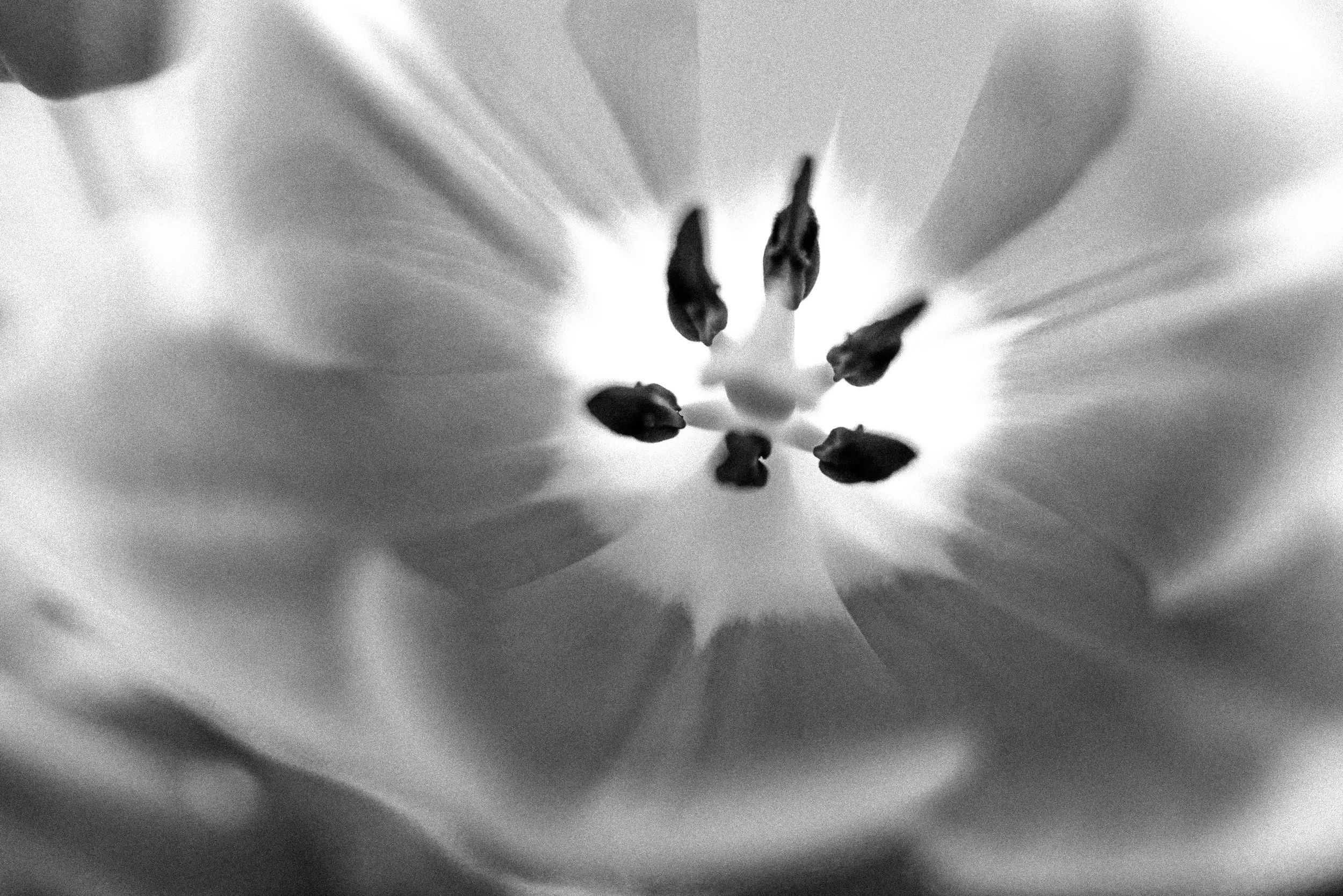 L1000749-2-Edit copy.jpg
