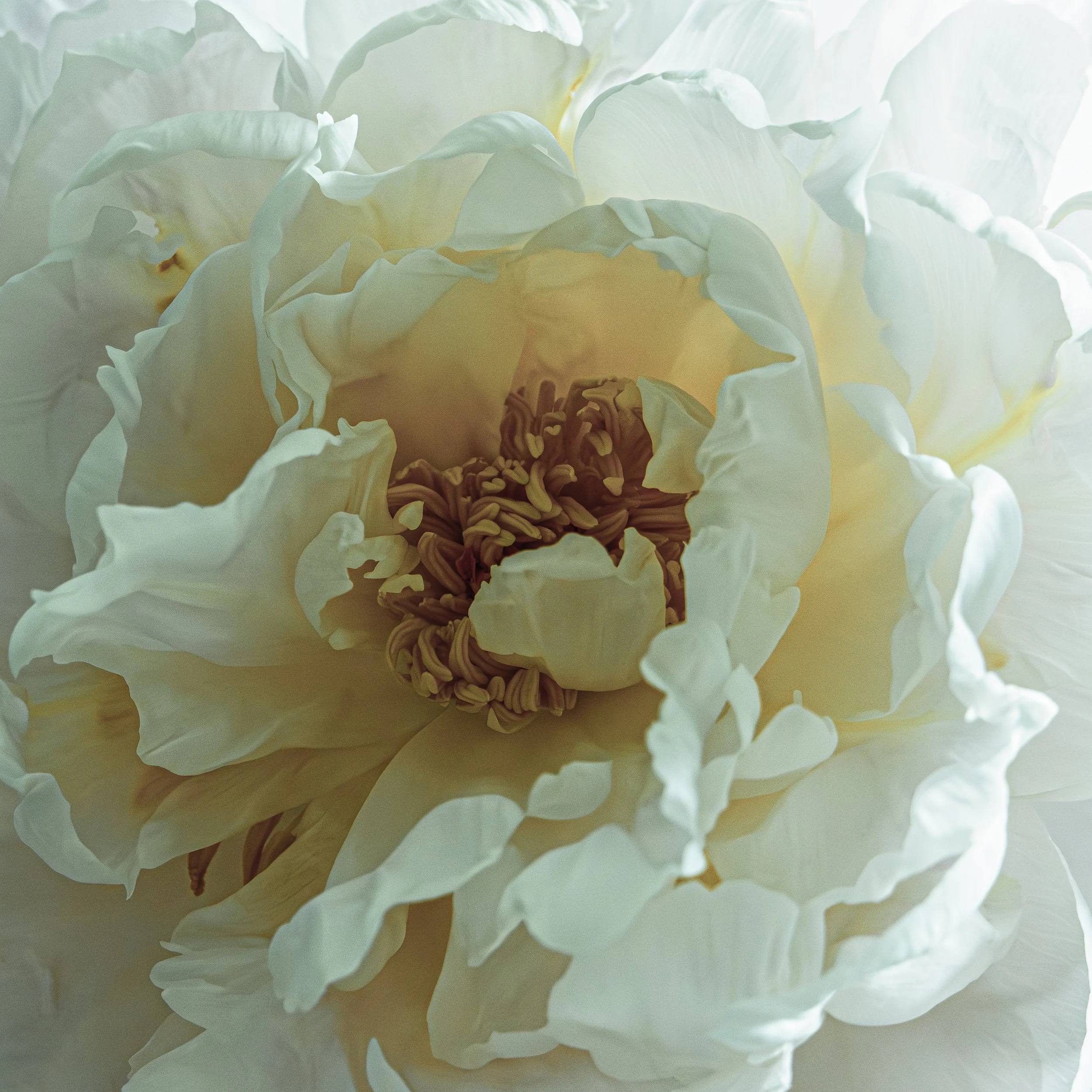 L1001386-Edit-Edit.jpg