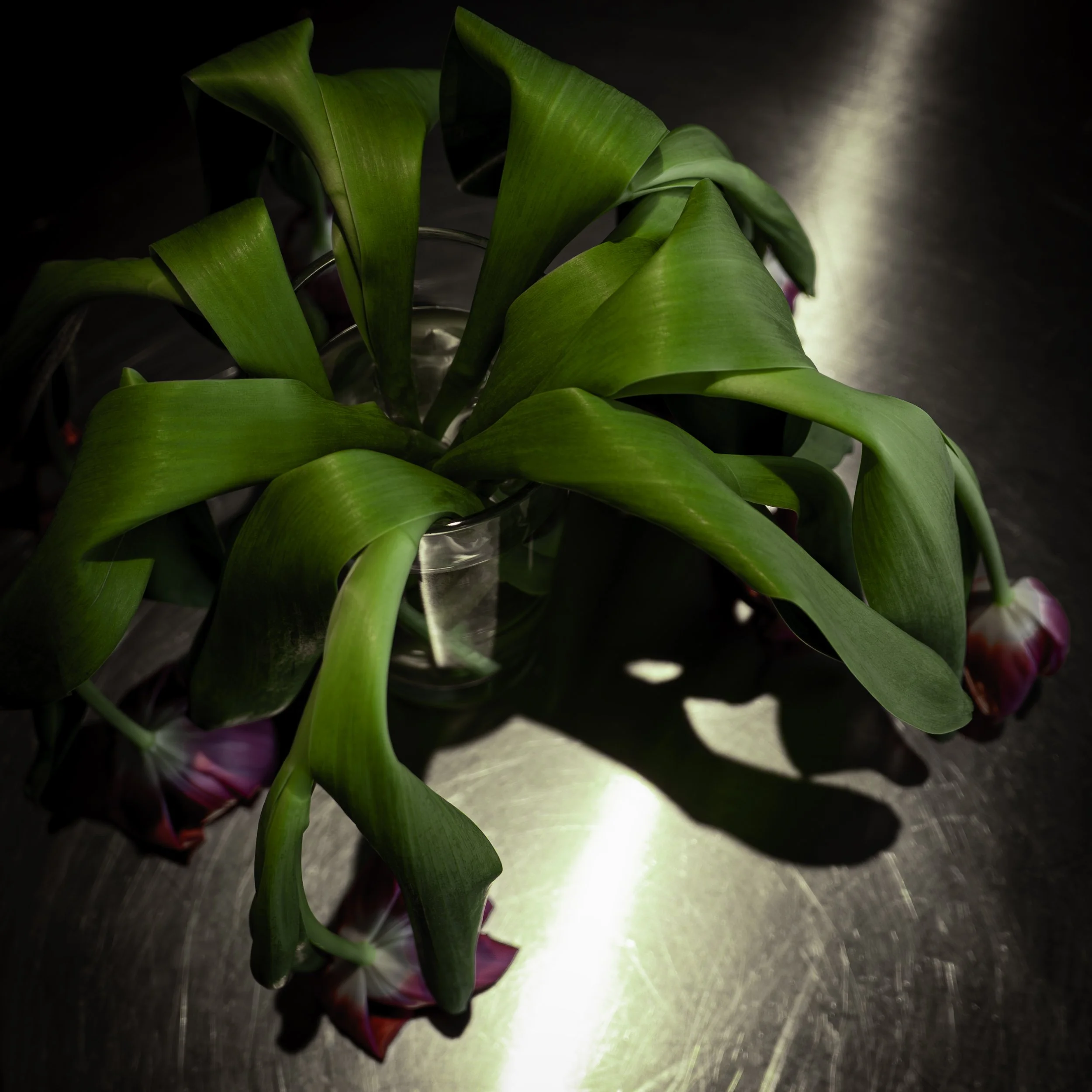 L1000747-Edit copy.jpg