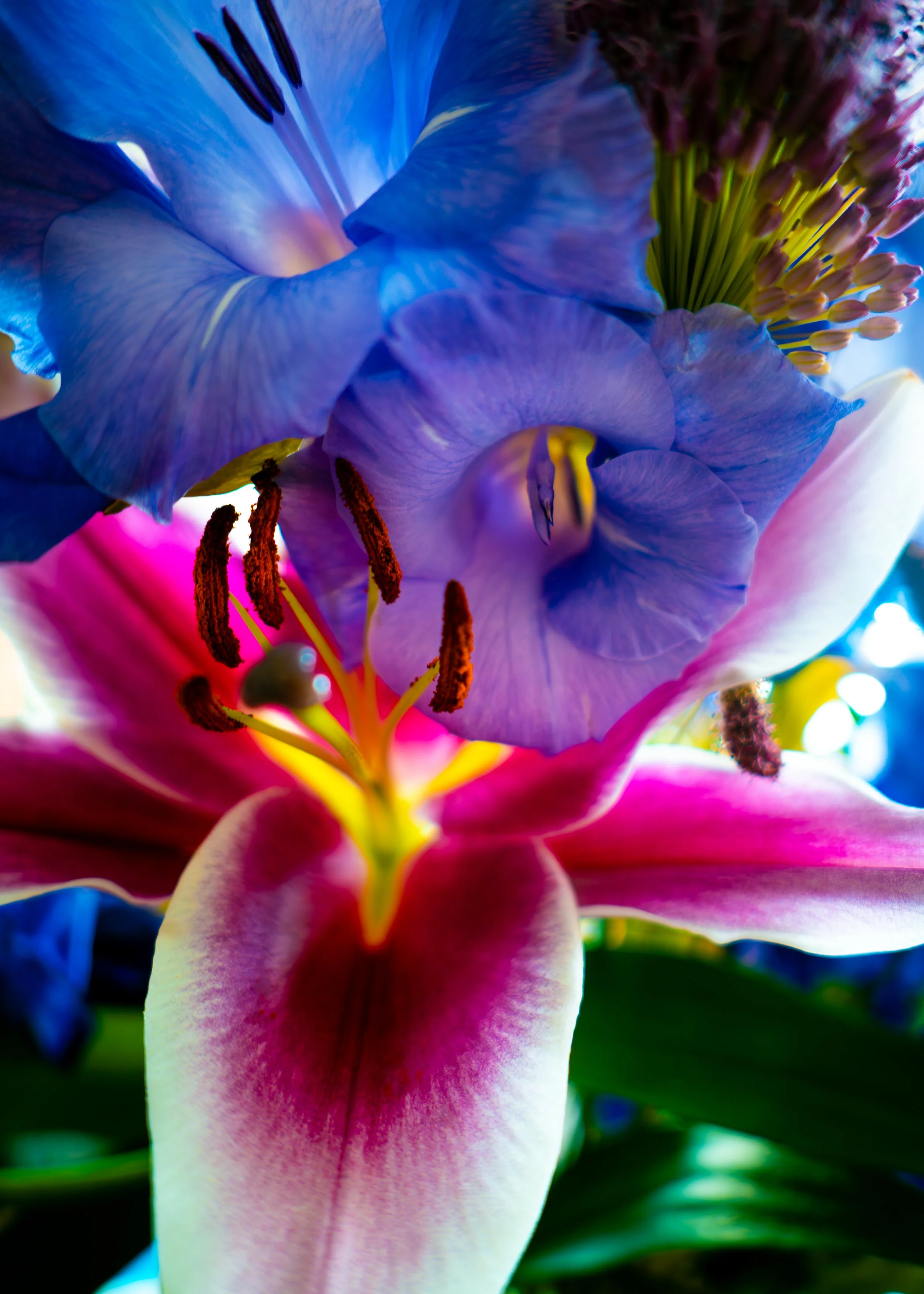 L1001545-Edit.jpg