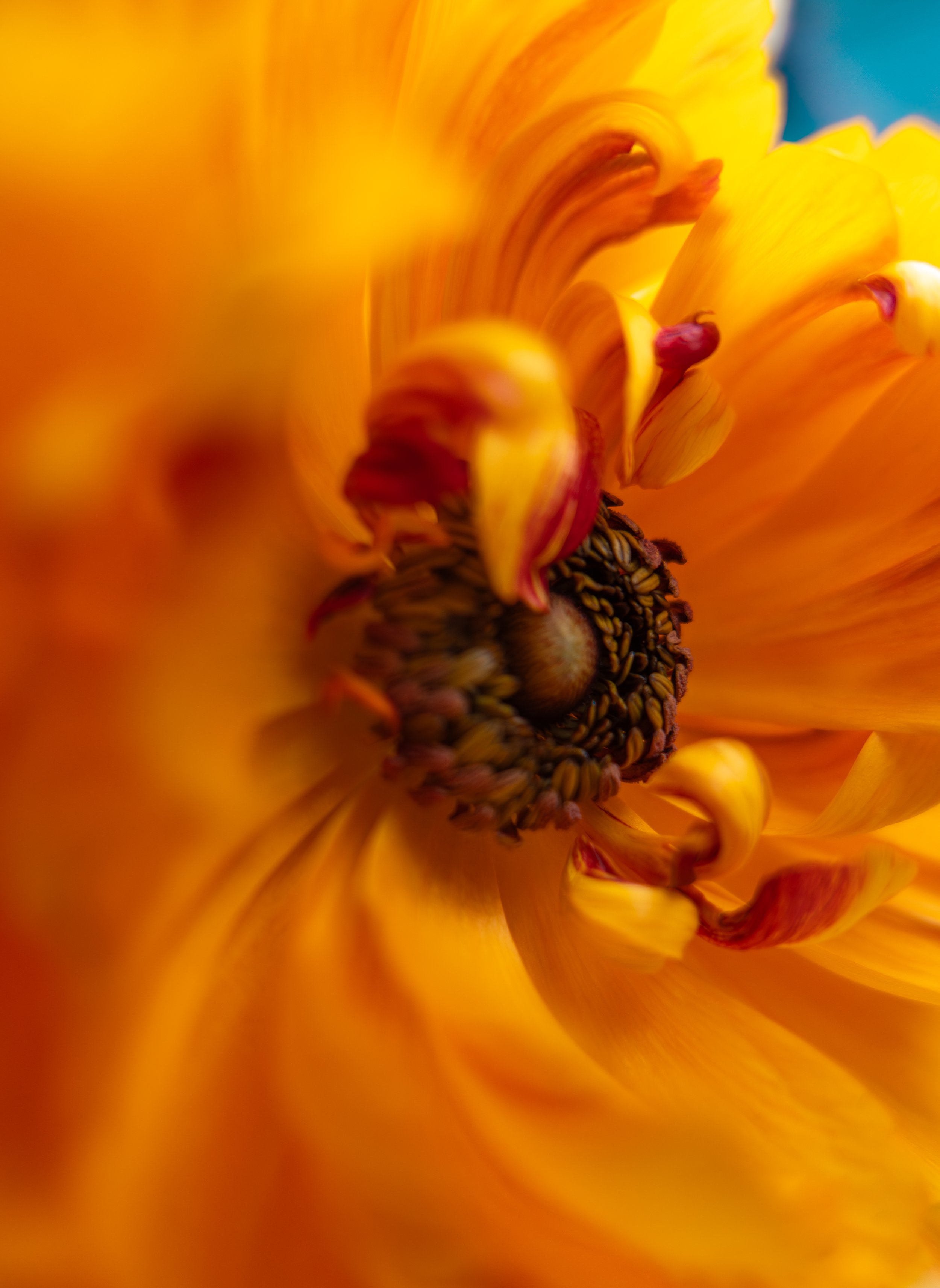L1001159-Edit-2.jpg