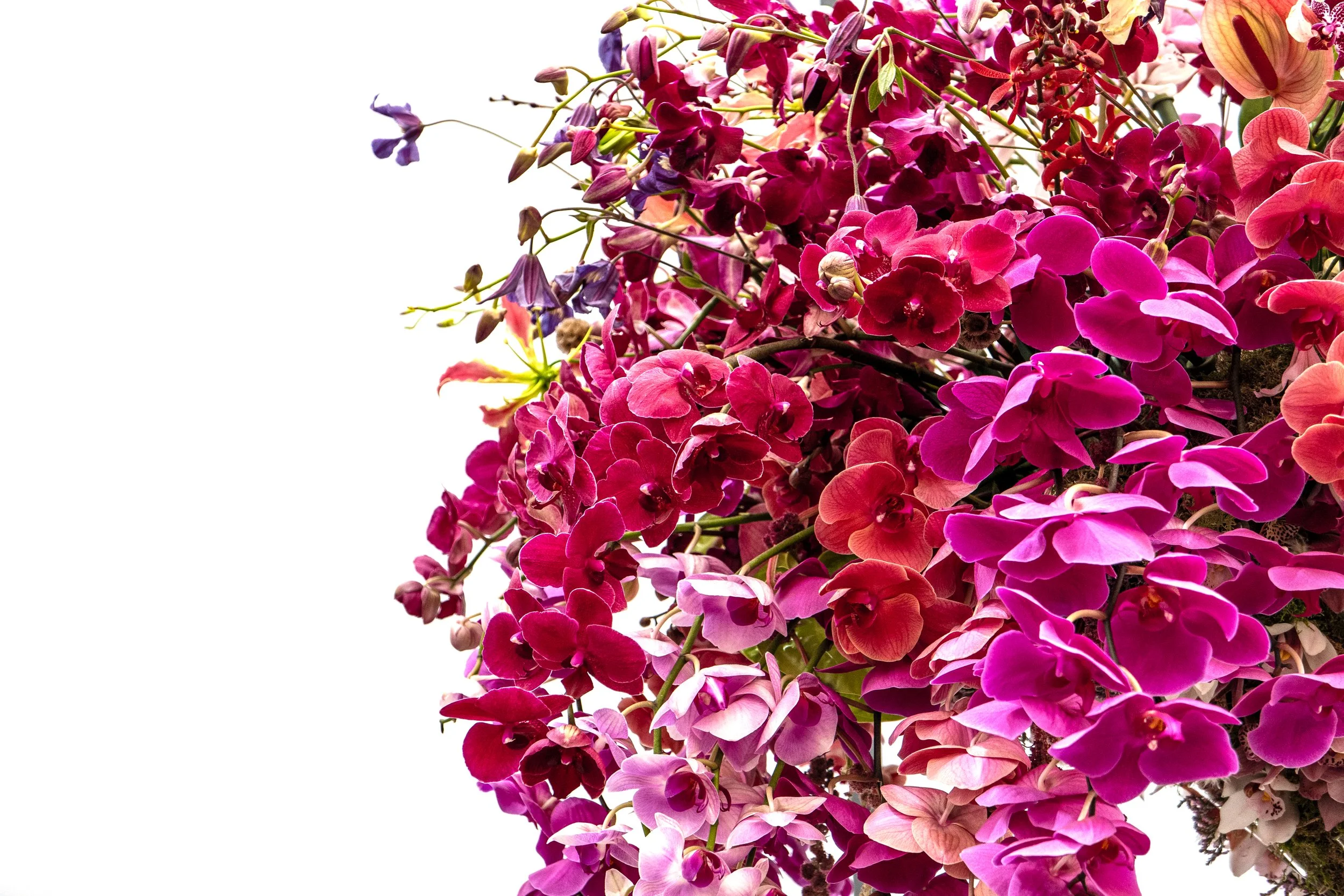 L1001303-Edit.jpg