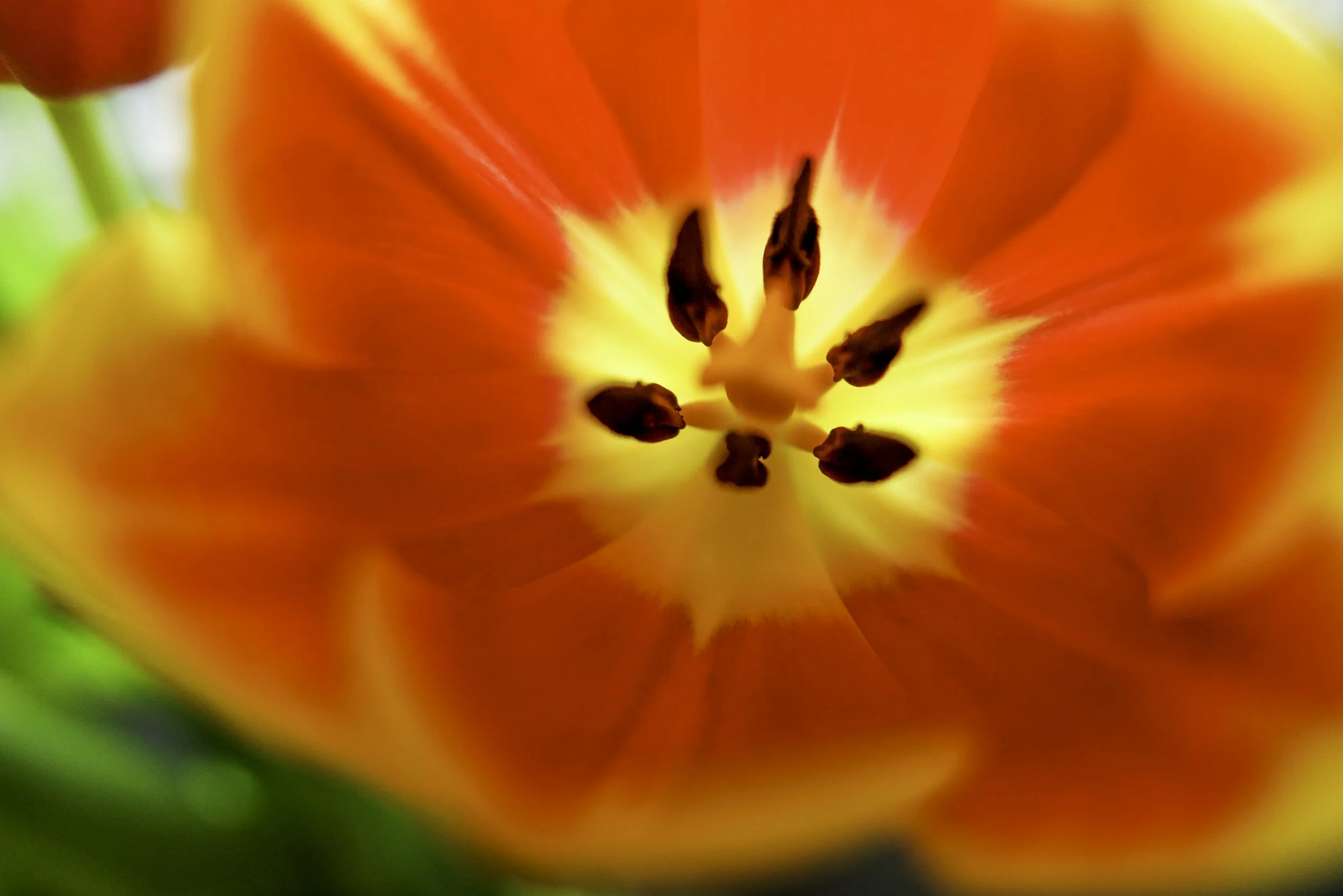 L1000749-Edit copy.jpg