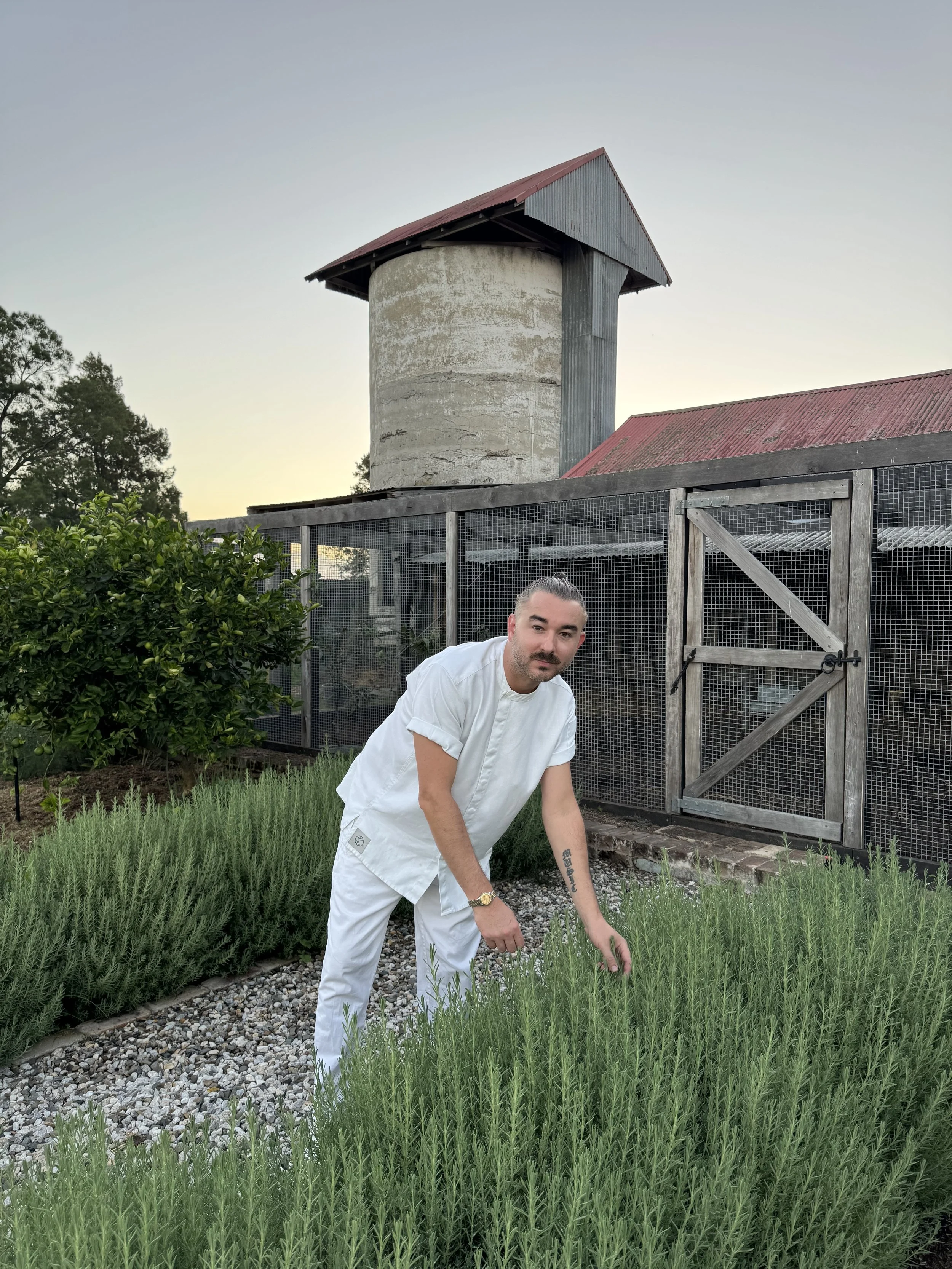 A man in a white outfit bending over and tending to a garden of green plants with tall, narrow leaves. He is outdoors with a wooden and wire enclosure behind him, and an old concrete water tower with a red roof in the background. The sky is clear and slightly tinged with the sunset.