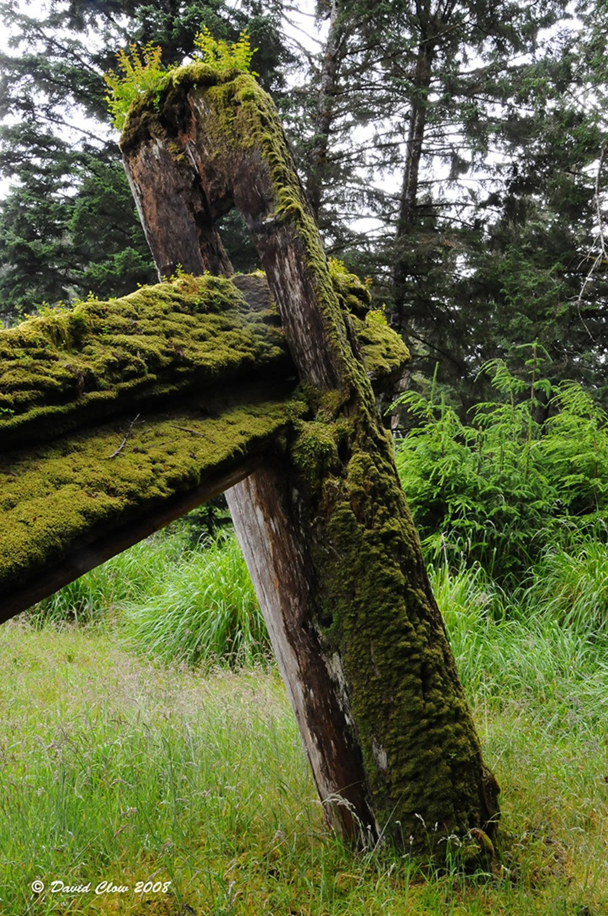 Remnants of long house at Ninstints