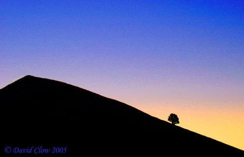 San Francisco Predawn