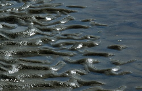 Sea Side Beach ripples