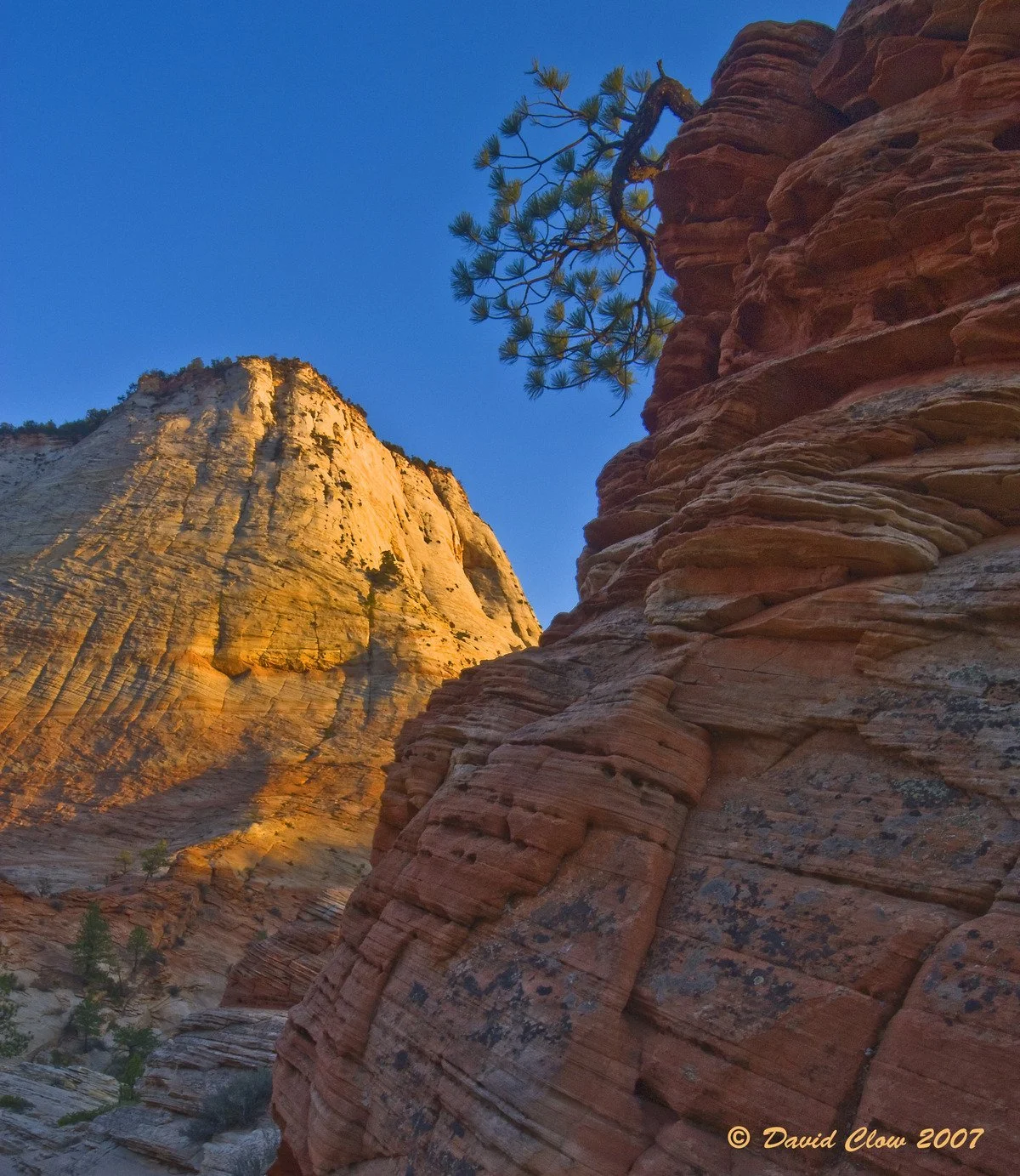 near Checkerboard Mesa