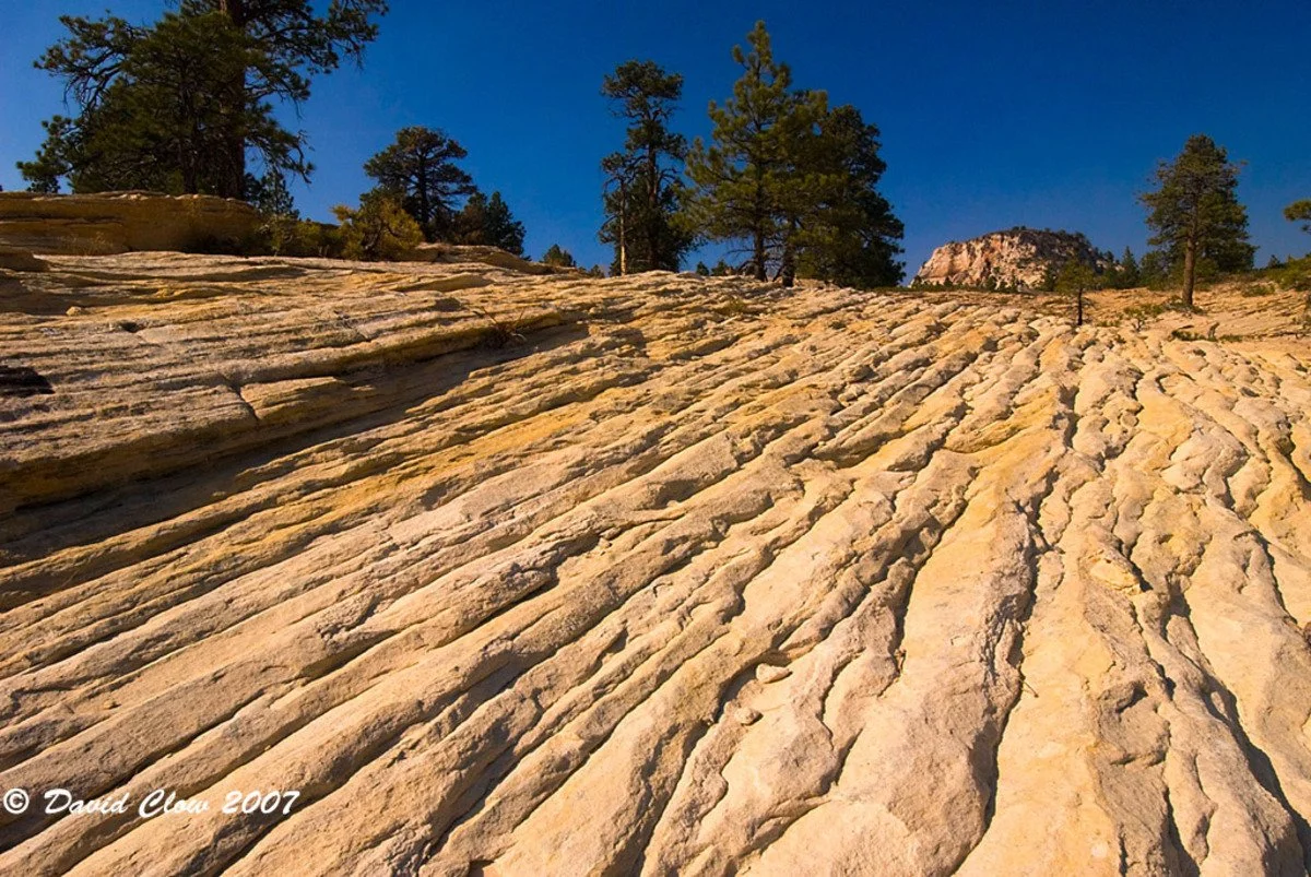 Kolob Plateau