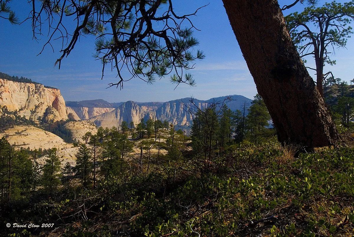 Kolob Plateau