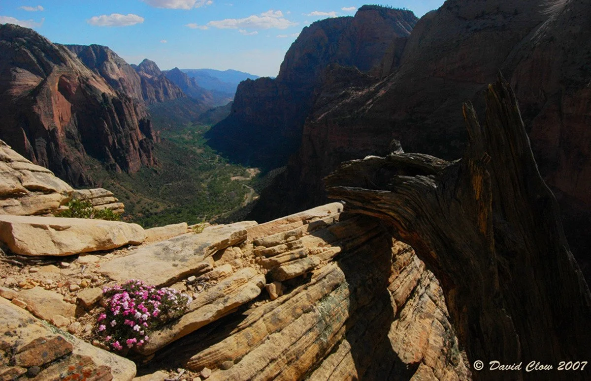 Angels' Landing 2