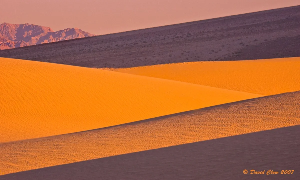 013a copy.jpg