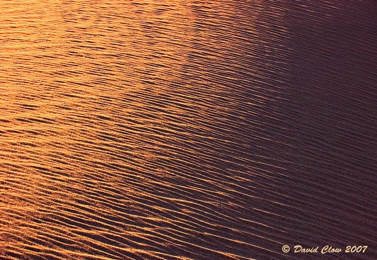 dsc_0084 copy.jpg