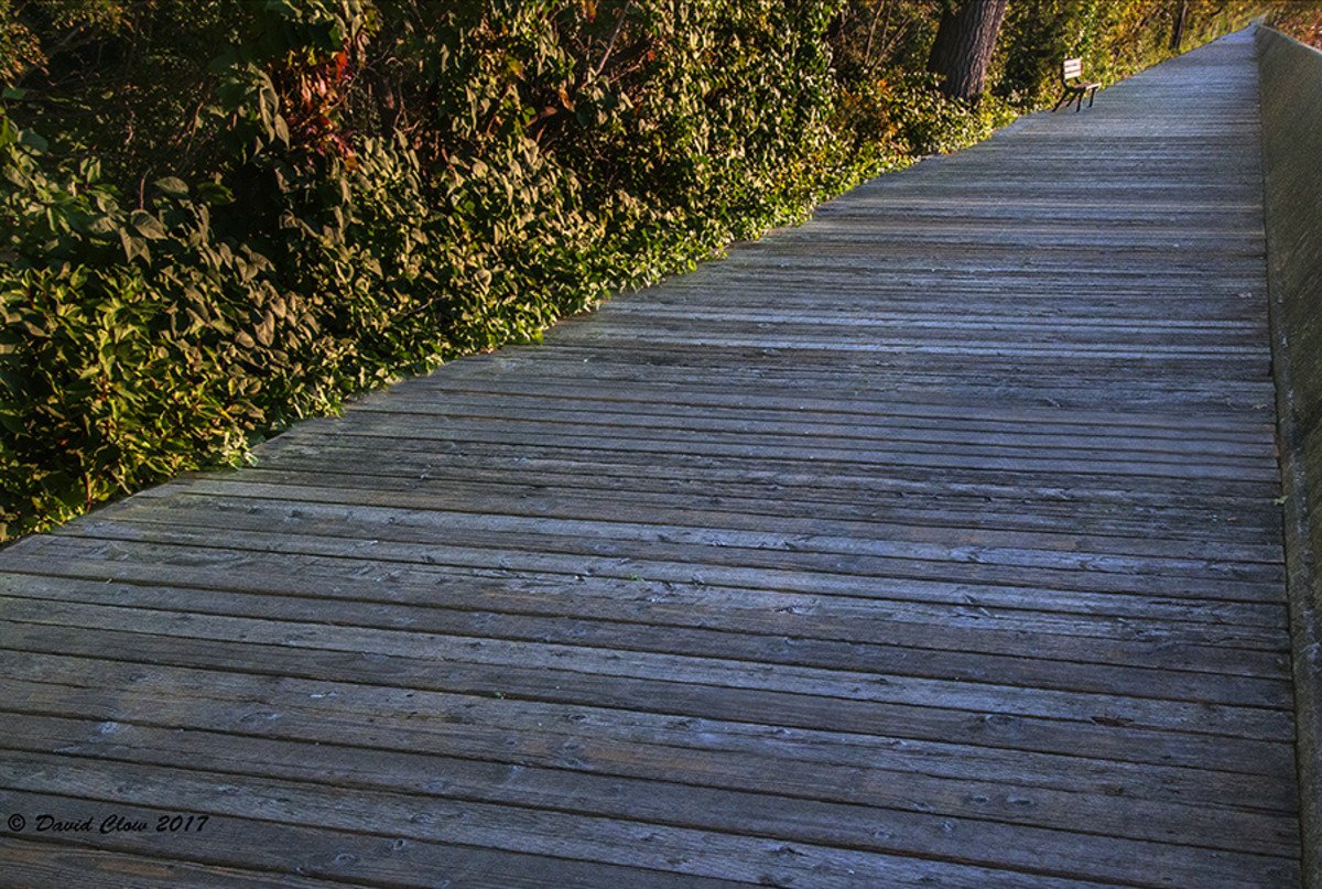 Ward's Island boardwalk
