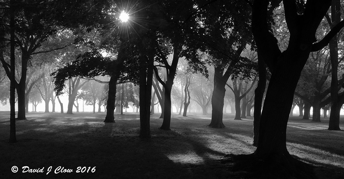 Coronation Park