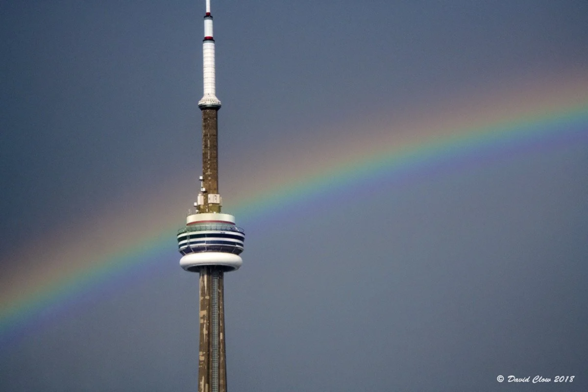 Hogtown Hope