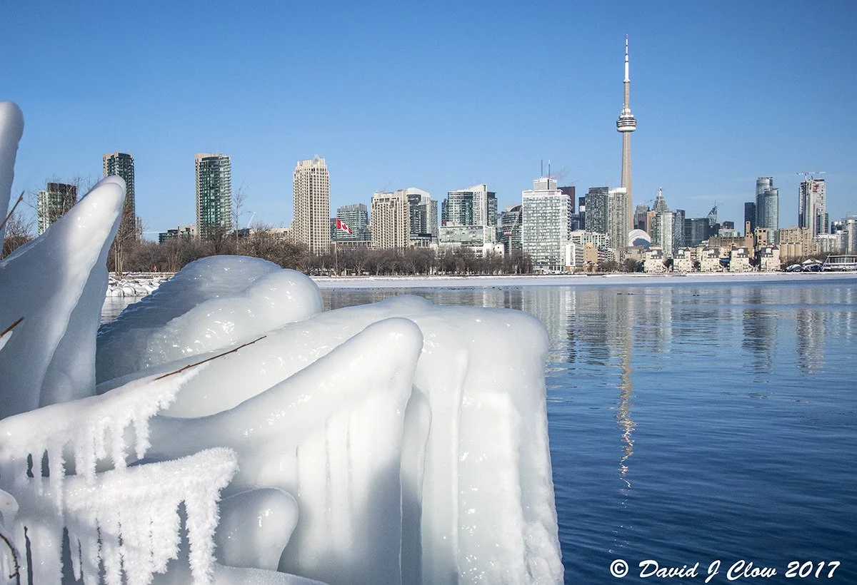 After the winter storm from Bill Davis Park