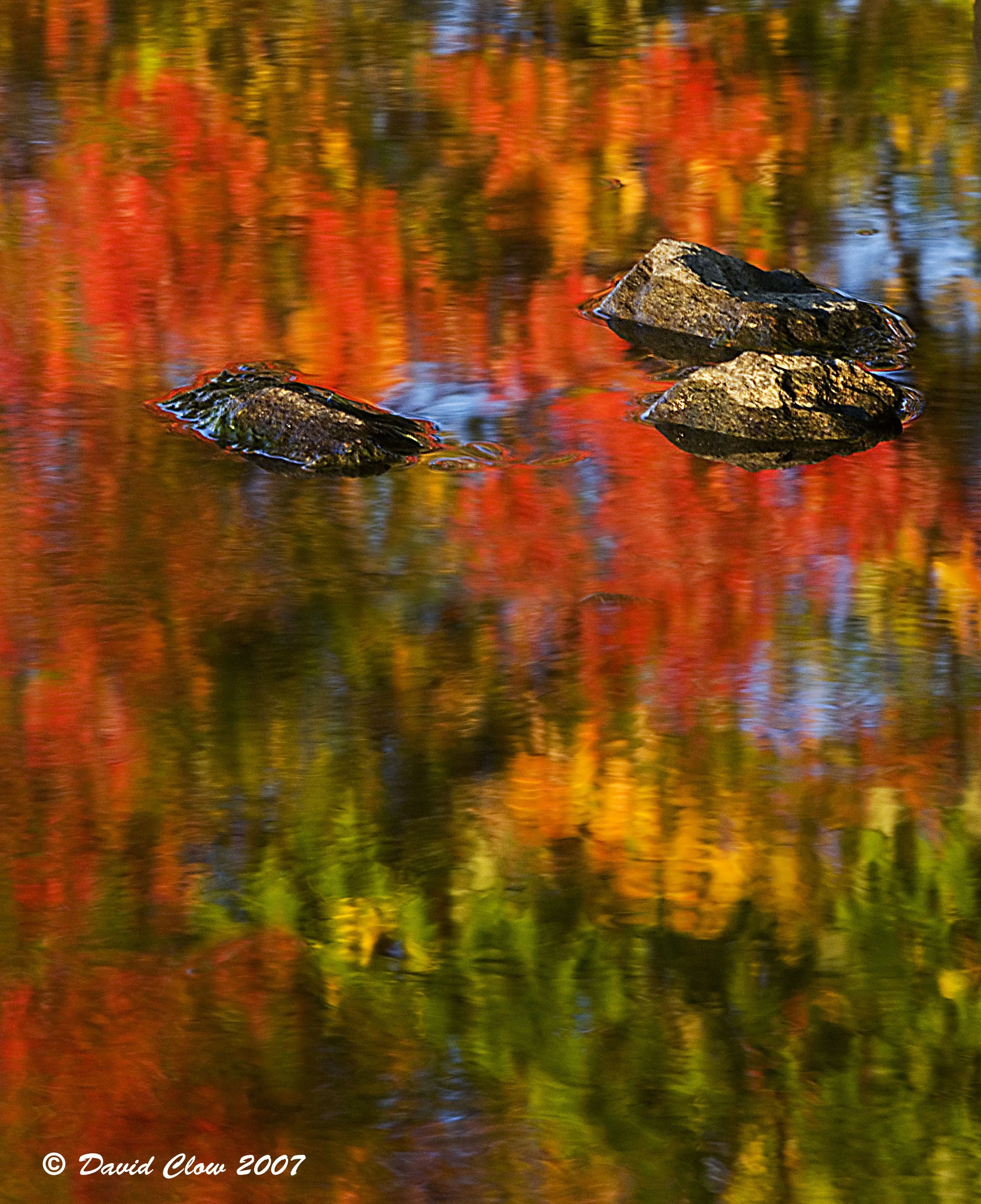 Ottawa River at Chateau Montebello