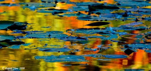 Holding Pond, Stittsville