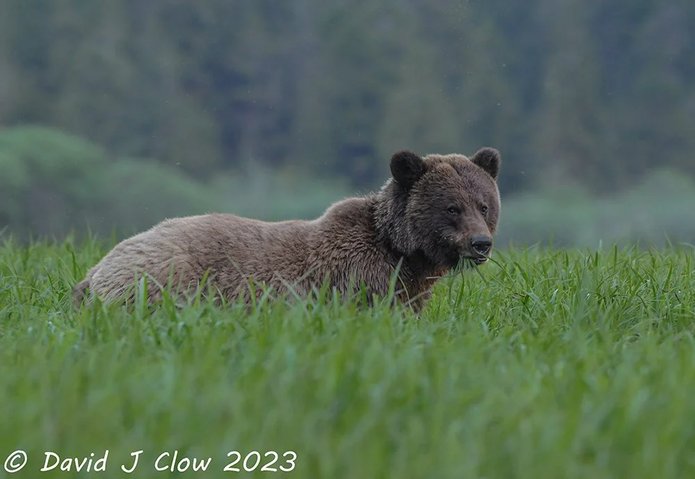 dsc_5578-186.jpg