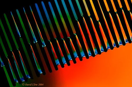 Comb with Water and Flowers
