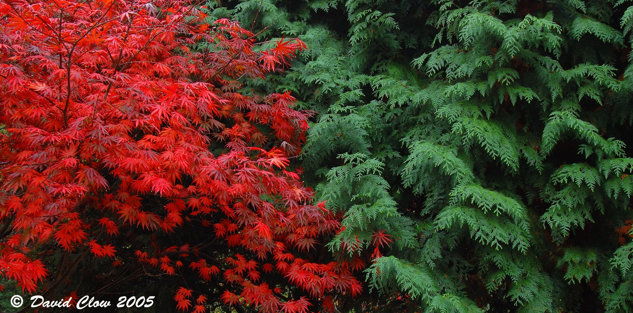Stanley Park, Vancouver