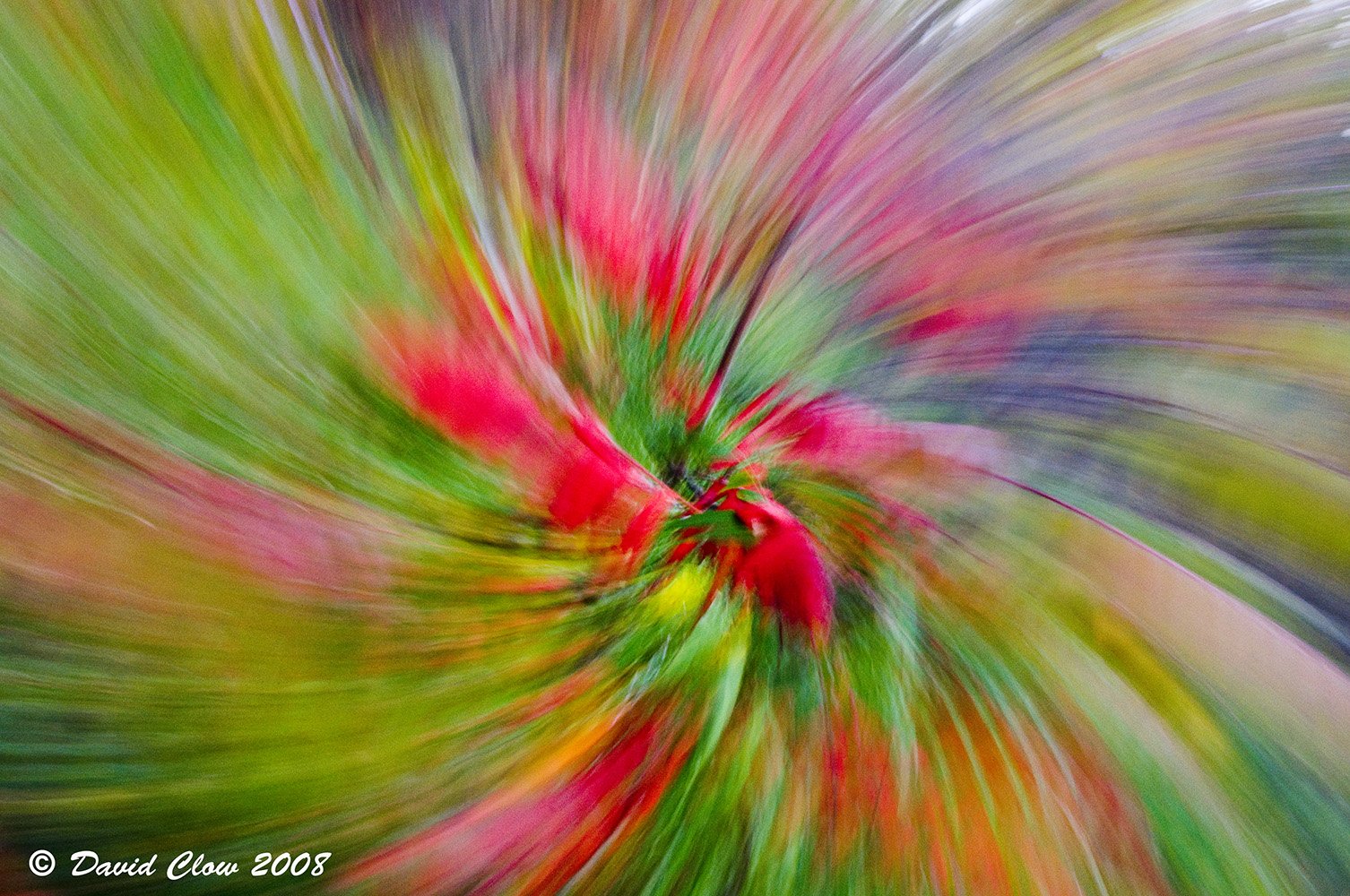 Algonquin Abstract