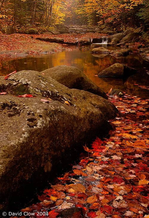 Maine