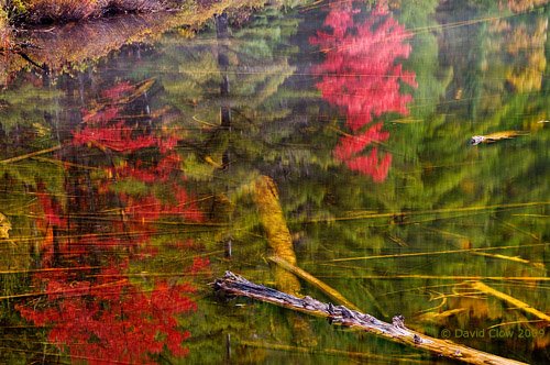 Ramsay Lake, Gatineau Park, QC