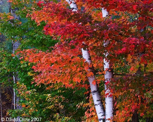 Dunrobin Shores, Ont